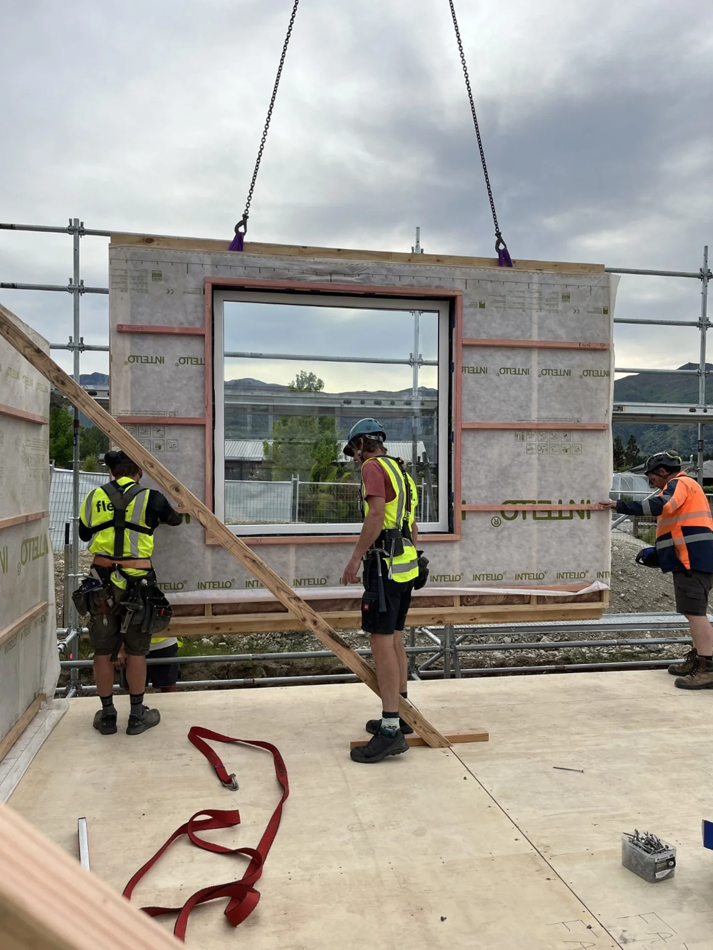 IMG_8737 (Large).JPG