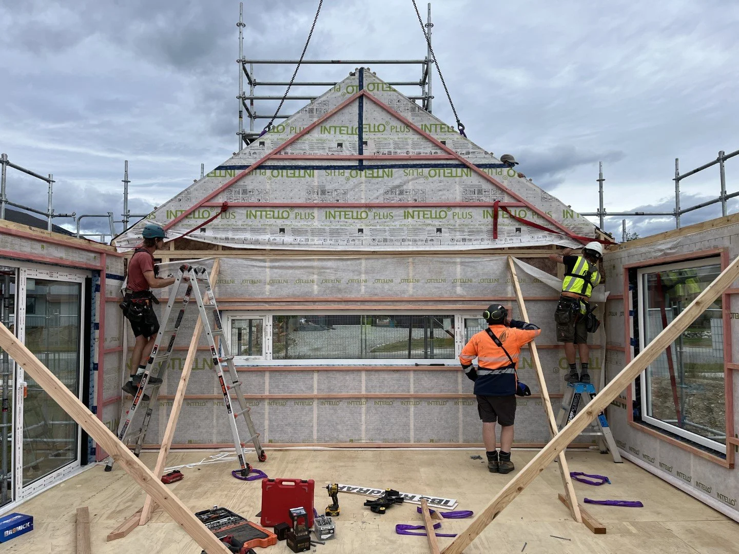 IMG_0455 (Large).JPG