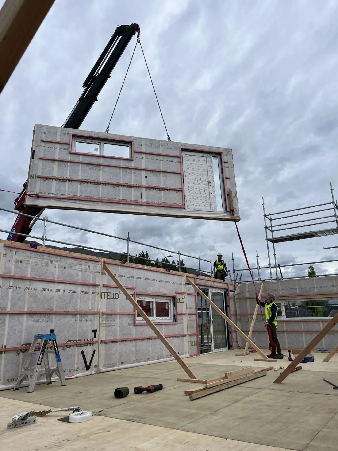 IMG_0447 (Large).JPG