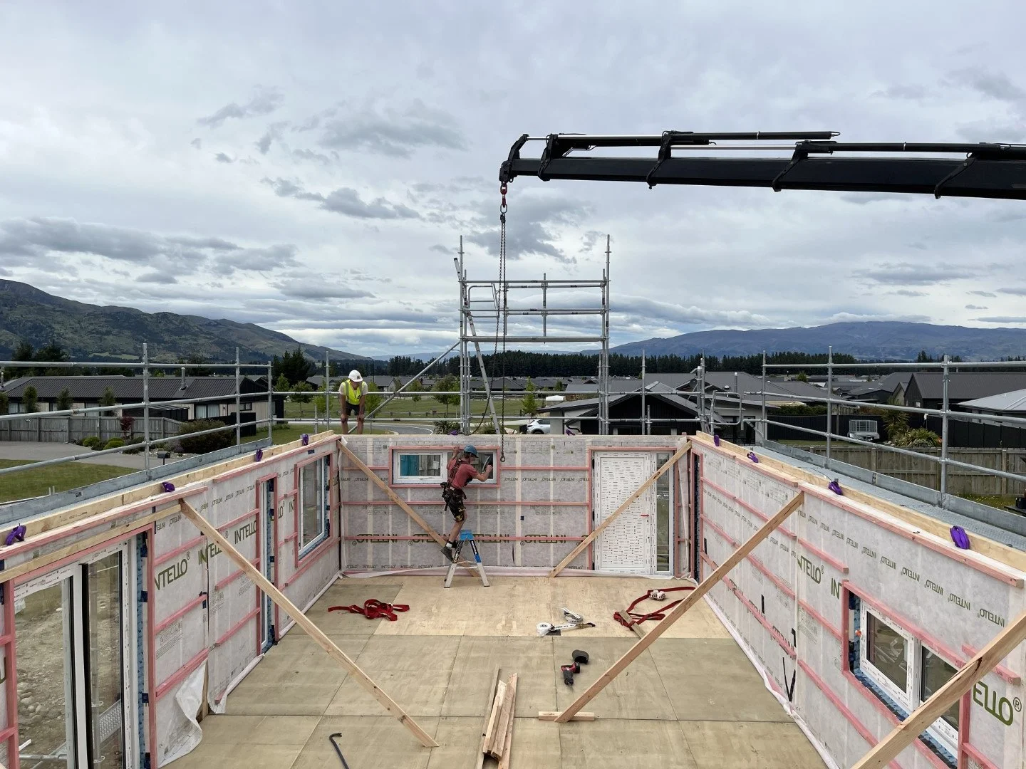 IMG_8916 (Large).JPG