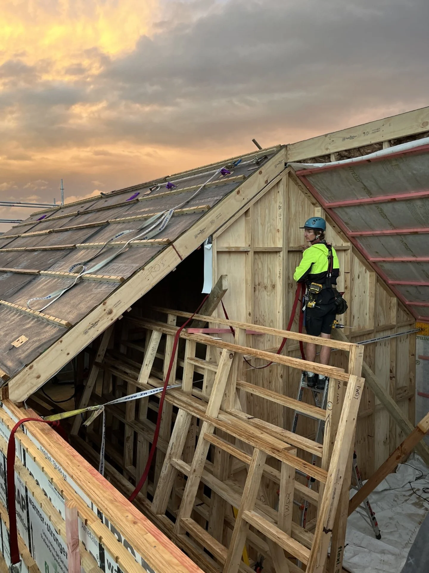 IMG_8989 (Large).JPG