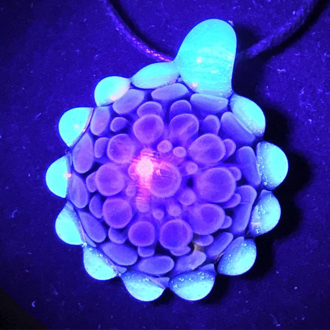 A close-up of a sea creature, possibly a nudibranch or sea slug, with luminous blue and purple colors under blacklight, highlighting its textured body and appendages.