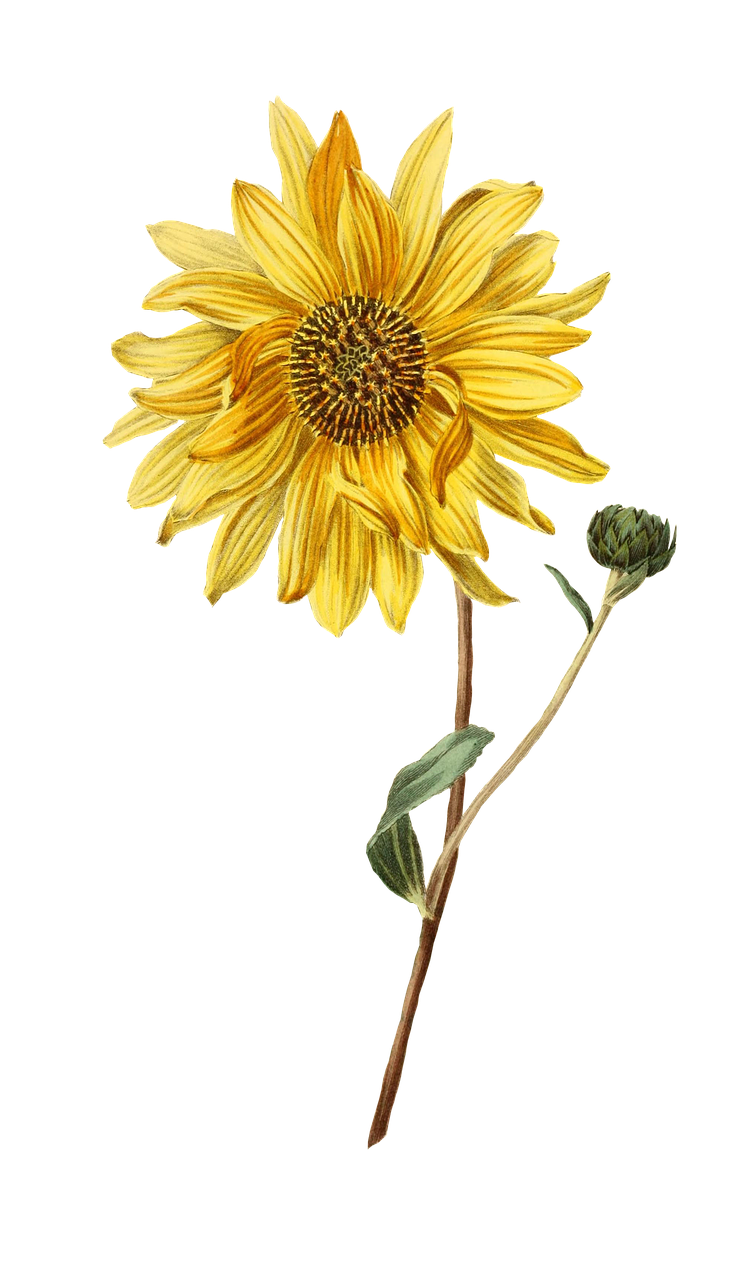 Christina Pearson BFRB Living Skills Coach