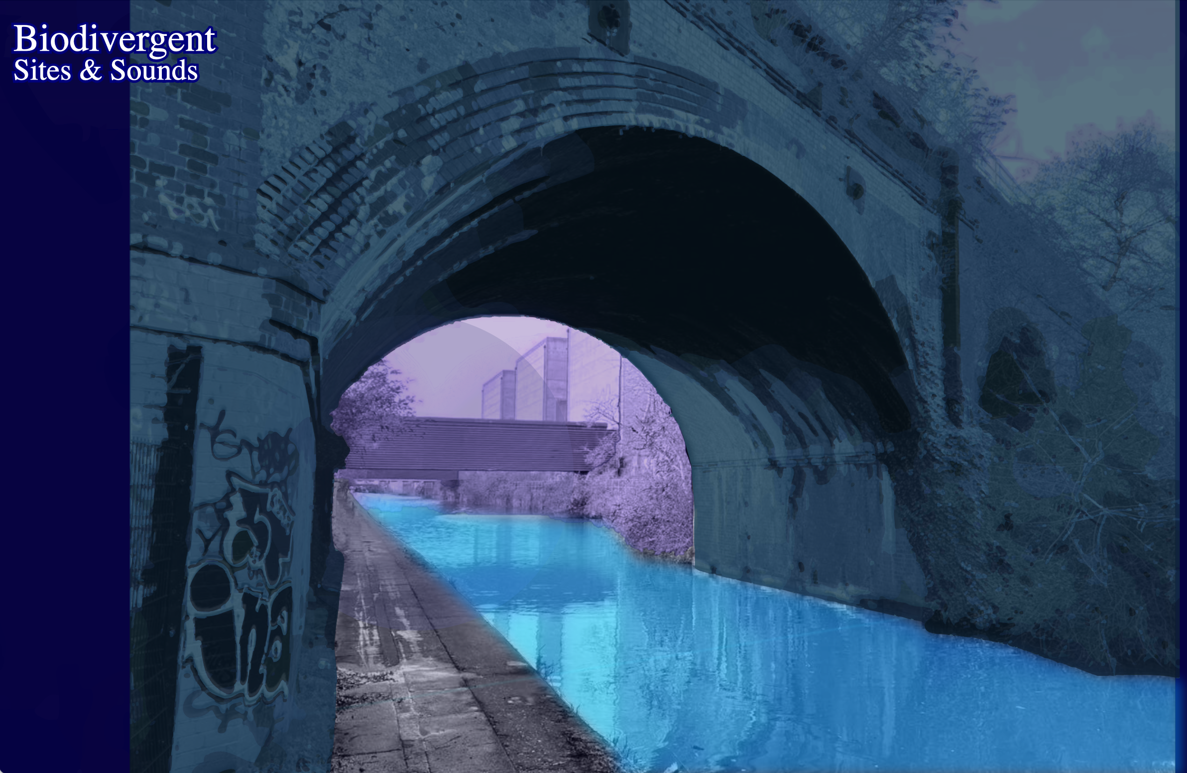 Biodivergent Sites and Sounds23