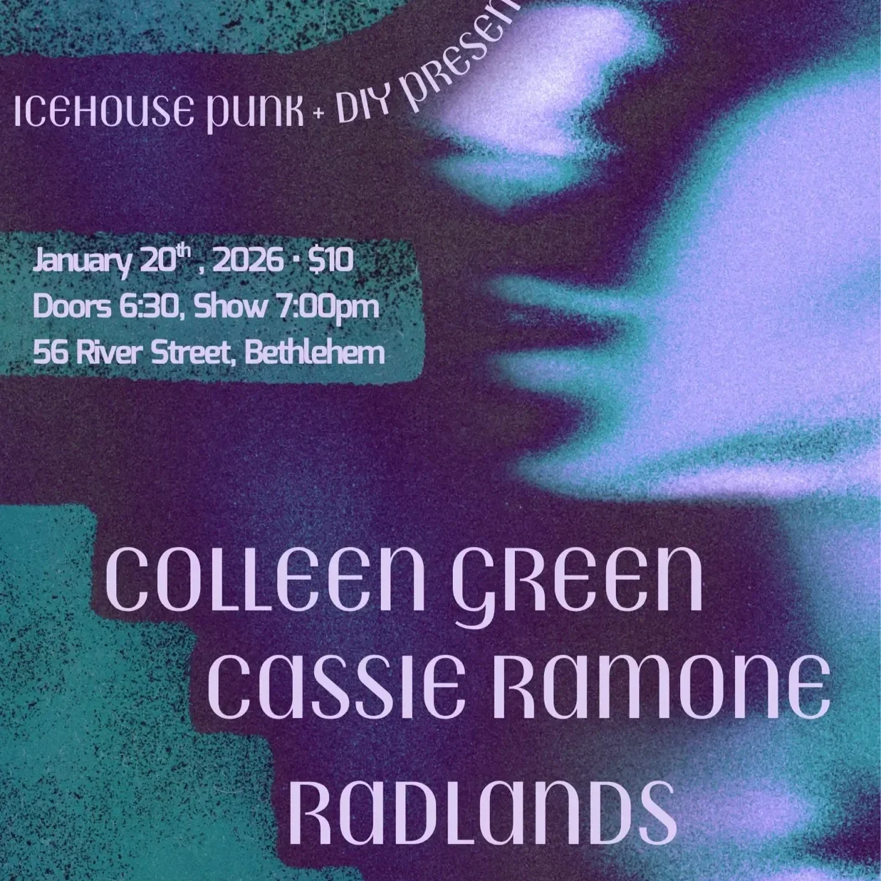 IceHouse Punk&amp;DIY