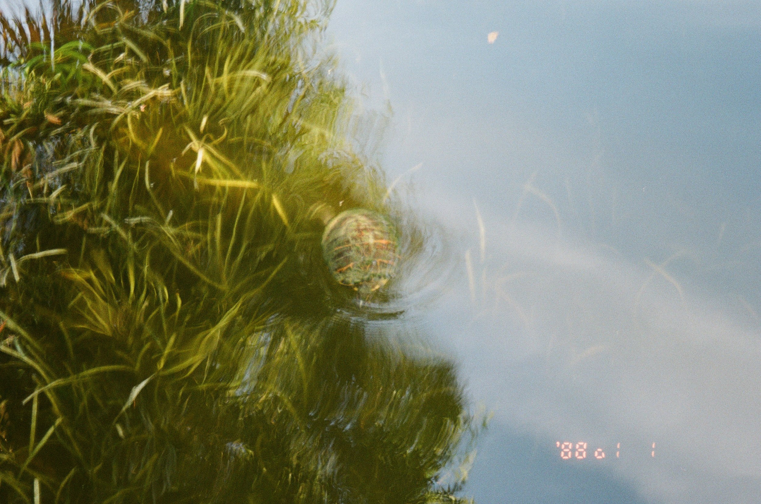 March 2026 | A Test Roll There...