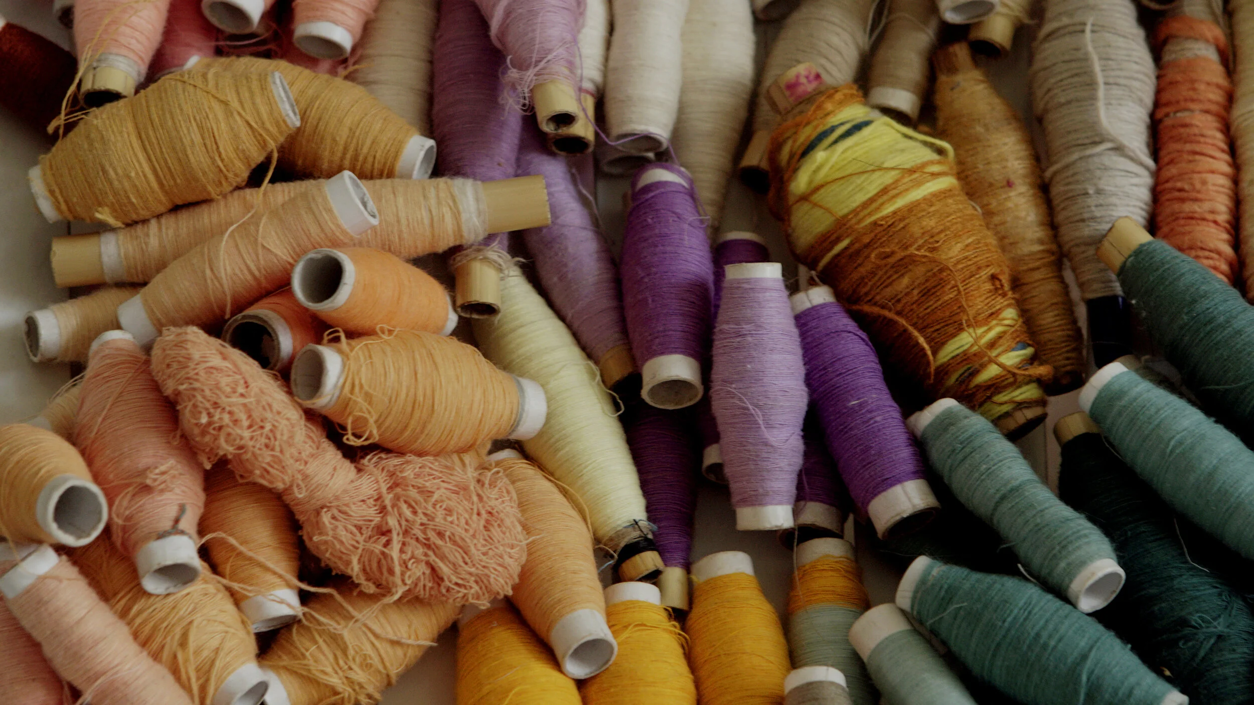 Women's Health Association of Ethiopia