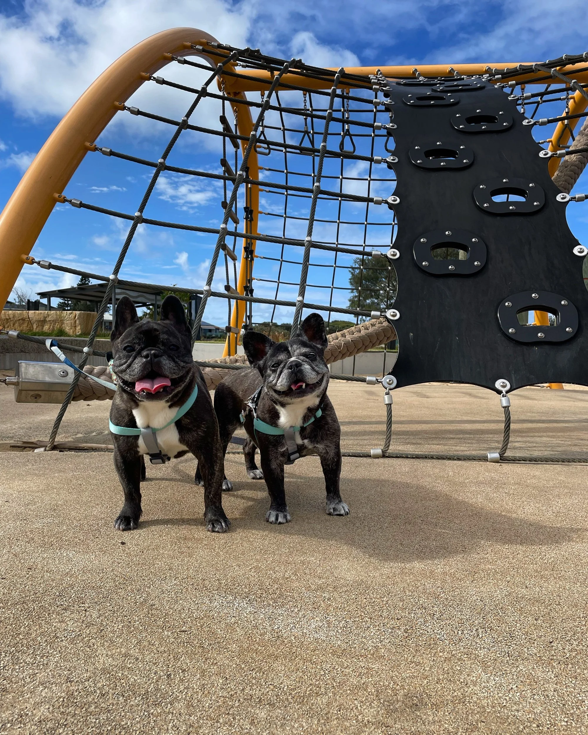 Robinson Reserve - Something for everyone