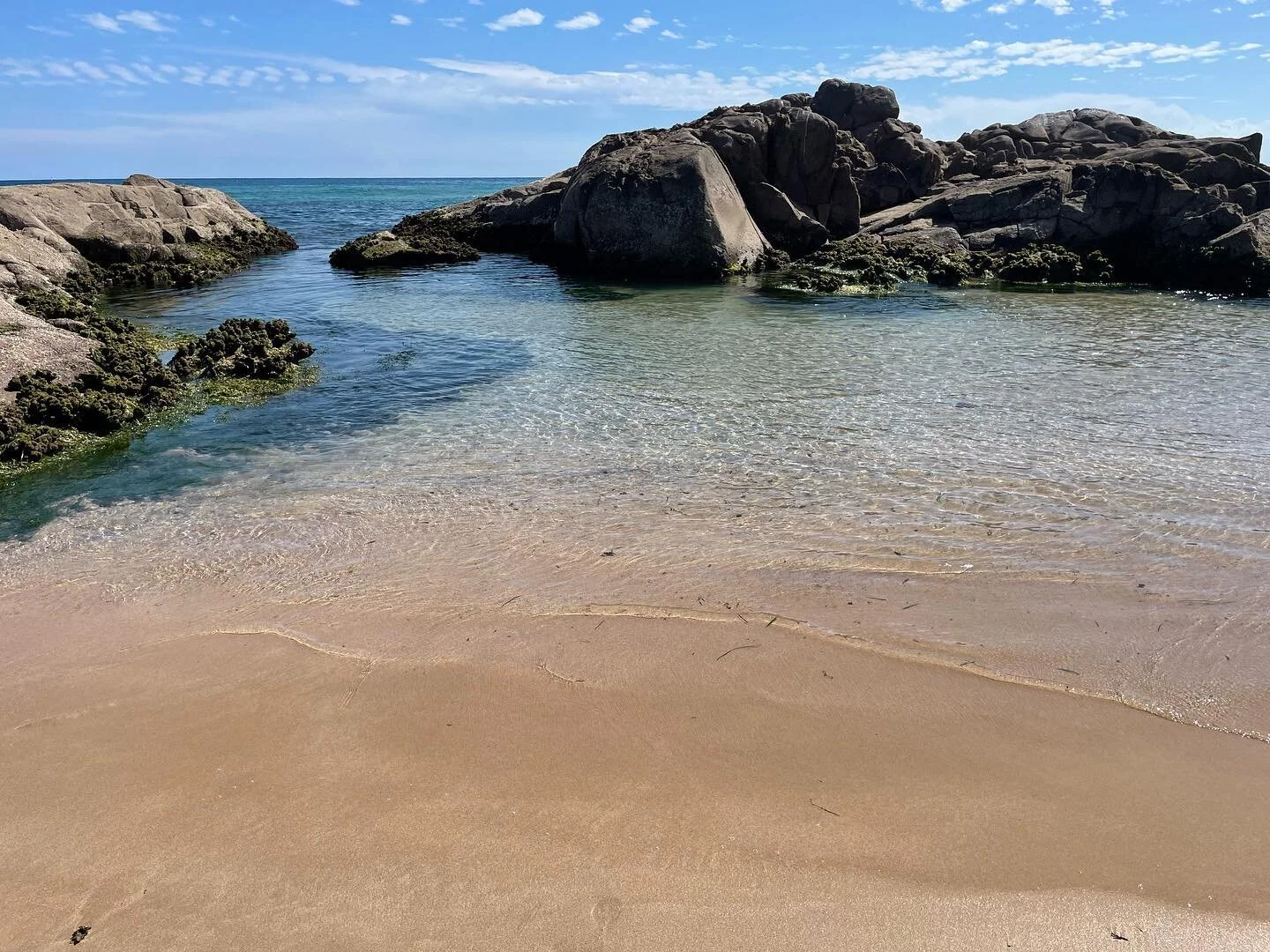 Quiet beach days after the busy holidays #psiloveyou #portstephens #accommodation #petfriendly #nswmidnorthcoast #beachhouse #sanddunes #sunsets #birubibeach #familyholiday #annabay #beachdays #airbnb #airbnbpetfriendly #traveloz #dogfriendly #nelson