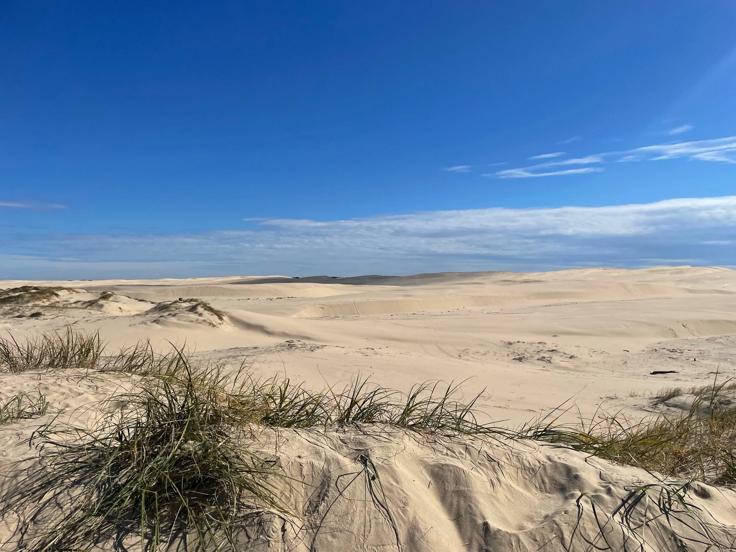 Anna Bay Sand Dunes