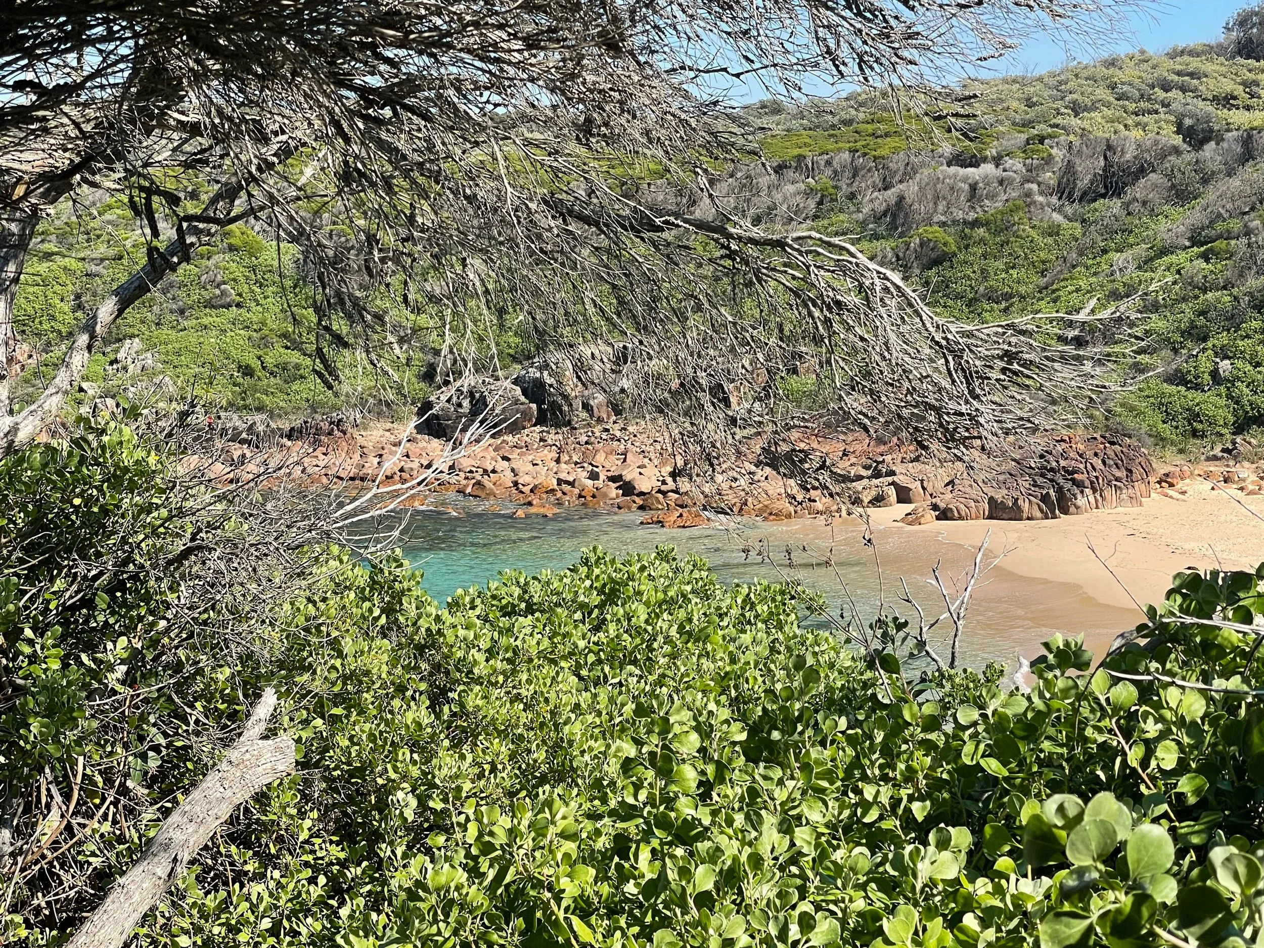 Exploring the Tomaree Coastal Walk