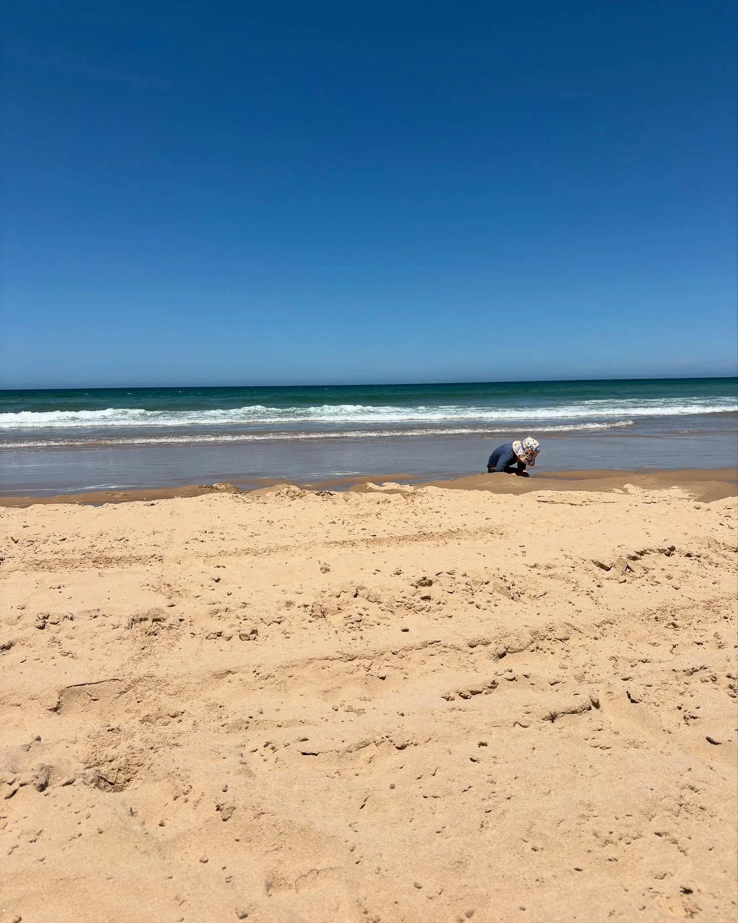 Busy exploring #psiloveyou #portstephens #accommodation #petfriendly #nswmidnorthcoast #beachhouse #sanddunes #sunsets #birubibeach #familyholiday #annabay #beachdays #airbnb #airbnbpetfriendly #traveloz #dogfriendly #nelsonbayaccommodation #australi