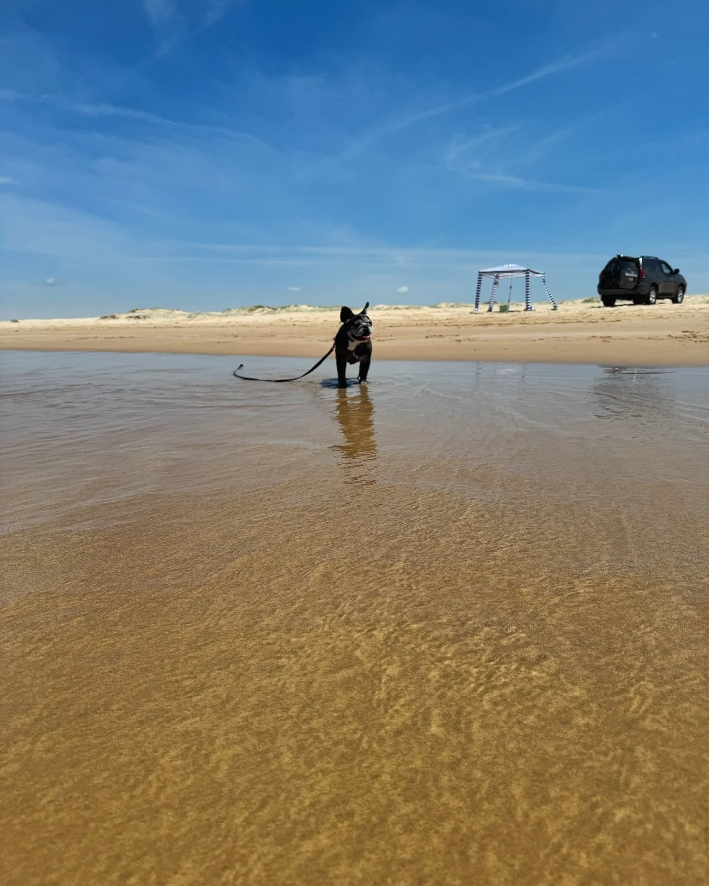 #psiloveyou #portstephens #accommodation #petfriendly #nswmidnorthcoast #beachhouse #sanddunes #sunsets #birubibeach #familyholiday #annabay #beachdays #airbnb #airbnbpetfriendly #traveloz #dogfriendly #nelsonbayaccommodation #australia #australiantr