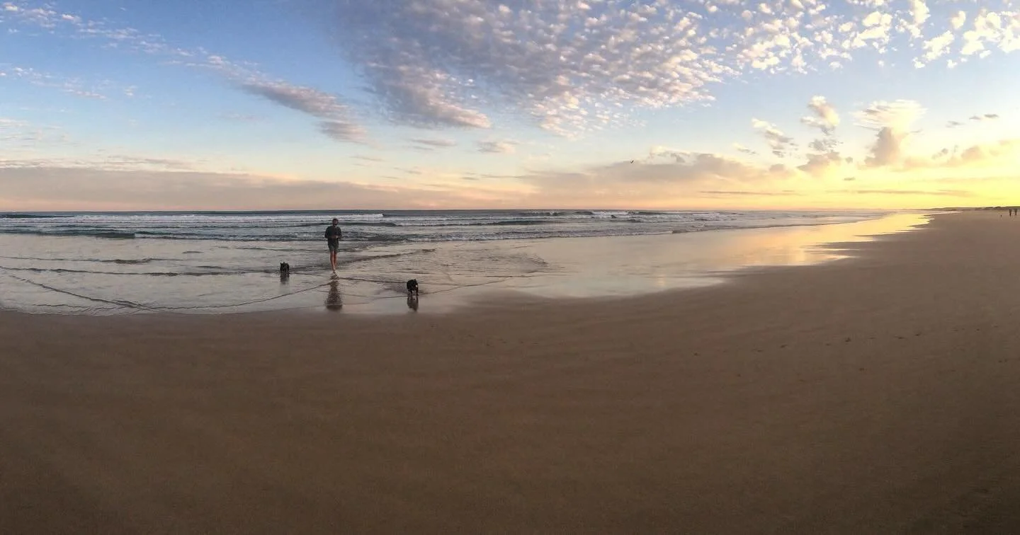 🐾 🐾 #psiloveyou #portstephens #accommodation #petfriendly #nswmidnorthcoast #beachhouse #sanddunes #sunsets #birubibeach #familyholiday #annabay #beachdays #airbnb #airbnbpetfriendly #traveloz #dogfriendly #nelsonbayaccommodation #australia #austra