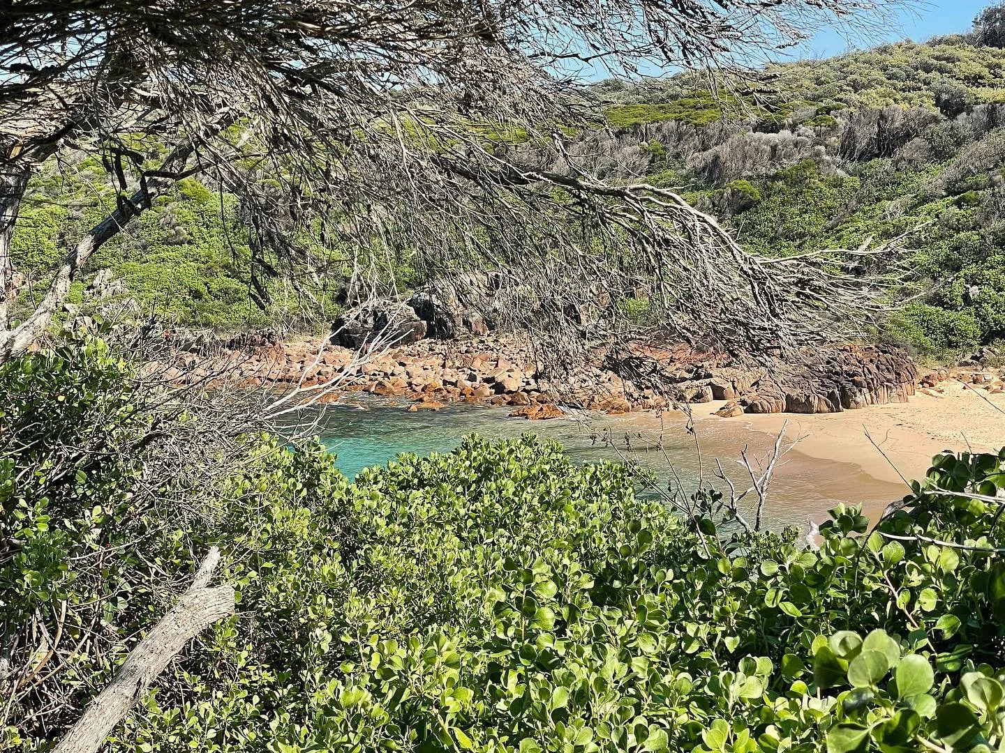 Perfect weather for early morning costal walks #tomareecostalwalk #psiloveyou #portstephens #accommodation #petfriendly #nswmidnorthcoast #beachhouse #sanddunes #sunsets #birubibeach #familyholiday #annabay #beachdays #airbnb #airbnbpetfriendly #trav