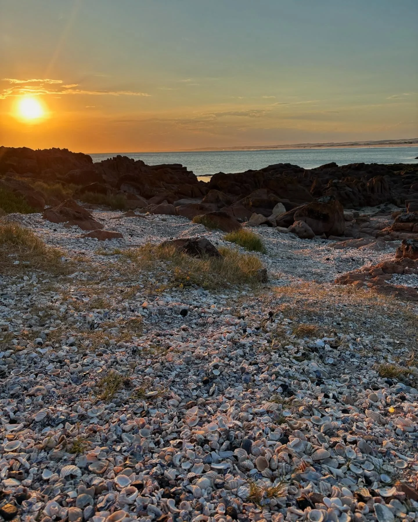 Another summer weekend done #portstephens #accommodation #petfriendly #nswmidnorthcoast #beachhouse #sanddunes #sunsets #birubibeach #familyholiday #annabay #beachdays #airbnb #airbnbpetfriendly #traveloz #dogfriendly #nelsonbayaccommodation #austral