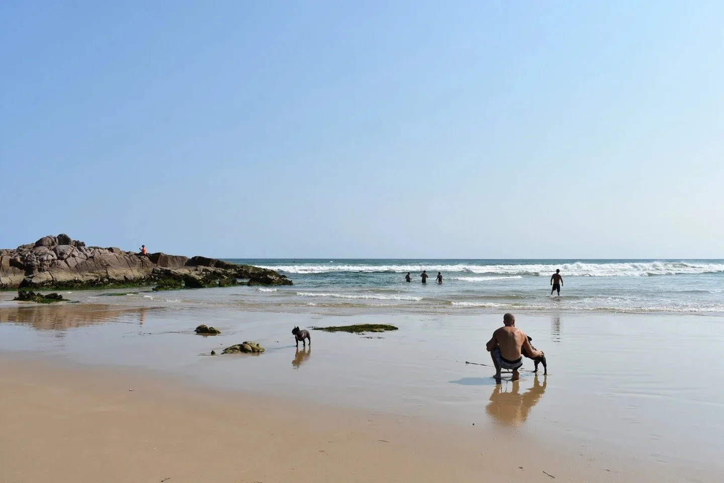 Birubi Beach -  Off Leash Dog Friendly

Birubi Beach is the most popular destination in the Port Stephens area,

spanning part of the 34 kilometre stretch of Stockton Bright. The coastal

stretch is exposed to the wind and waves, but the northern cor