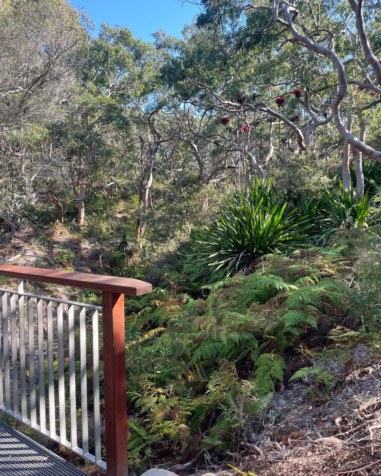 Tomaree coastal walk- Fisherman&rsquo;s Bay to Boat Harbour #tomareecoastalwalk #psiloveyou #portstephens #accommodation #petfriendly #nswmidnorthcoast #beachhouse #sanddunes #sunsets #birubibeach #familyholiday #annabay #beachdays #airbnb #airbnbpet