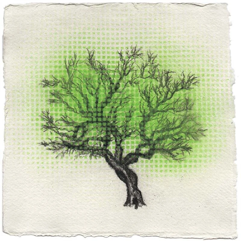 Nifty Forest Tokens (NFT)