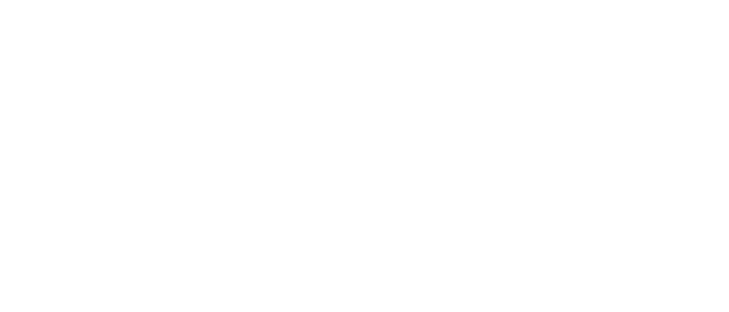 A Need 4 Speed Ltd