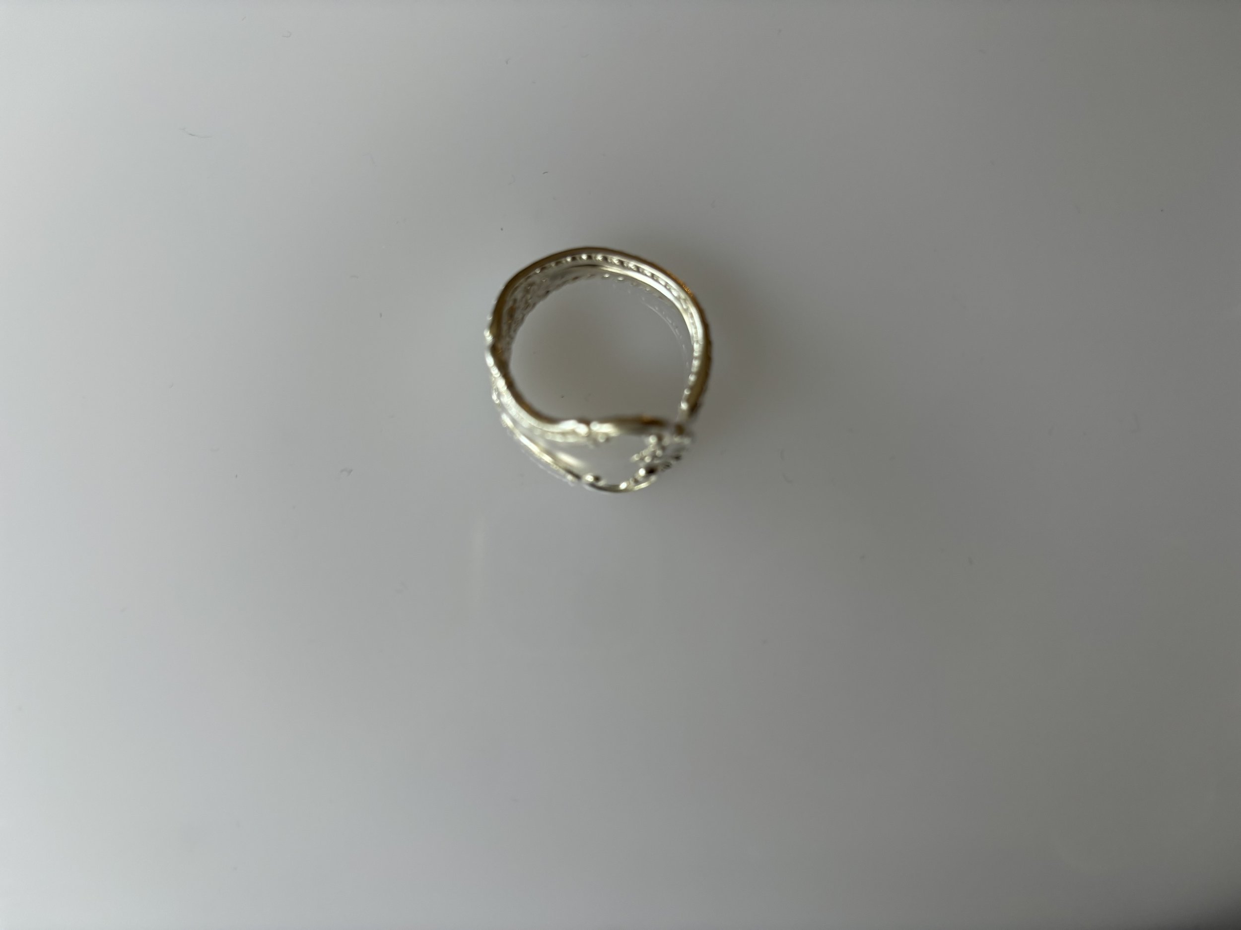 IMG_2050.jpeg
