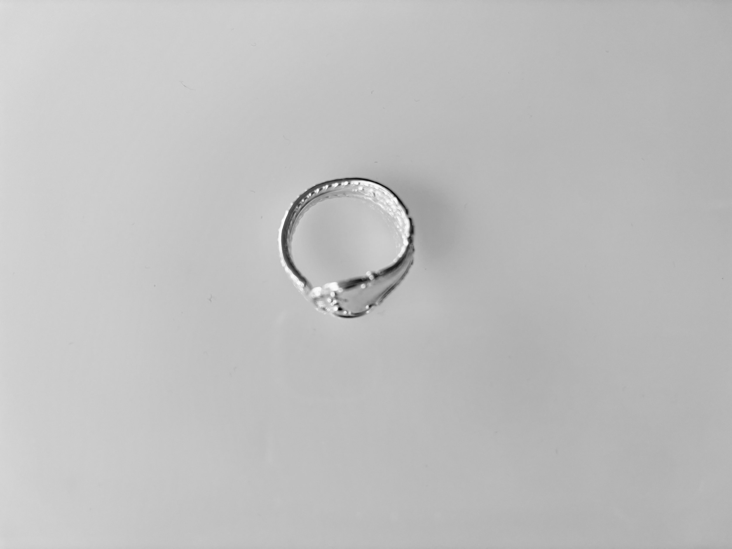 IMG_2052.jpeg