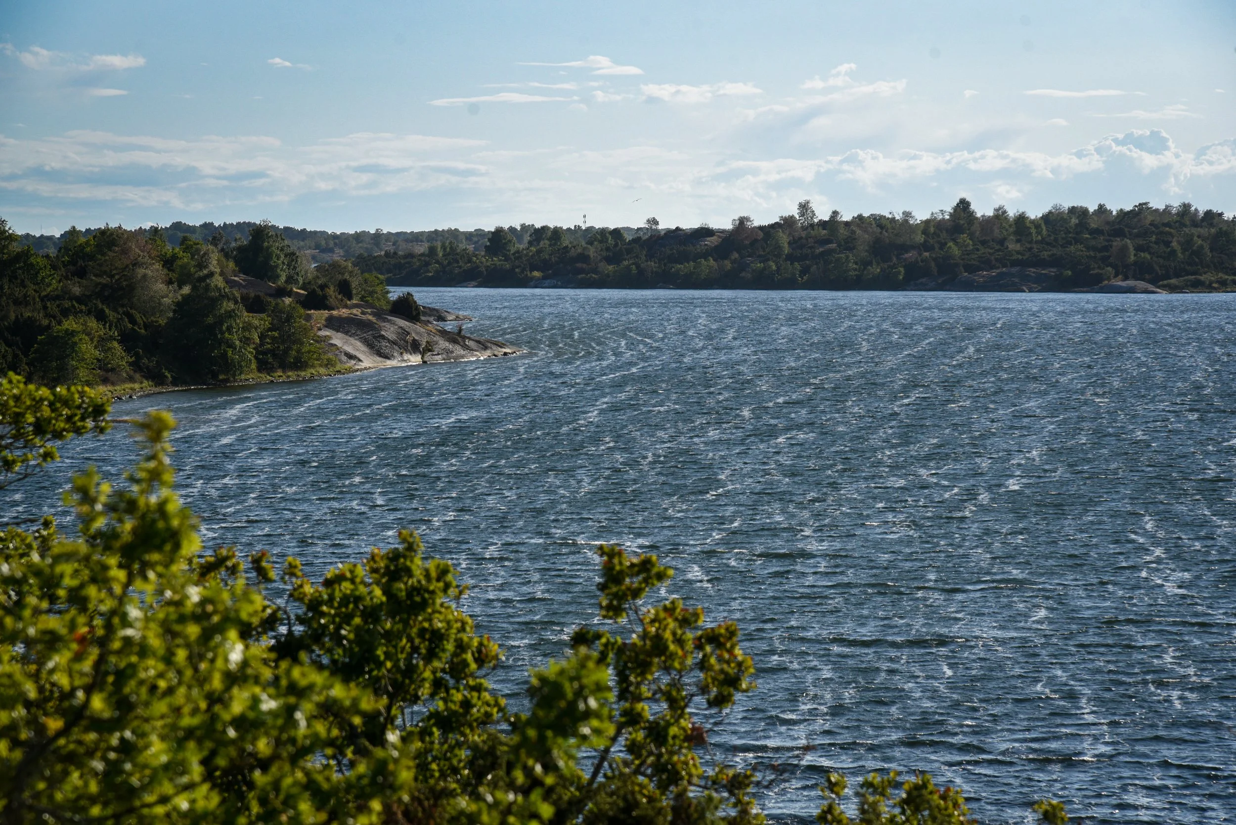 DSC8973.jpg