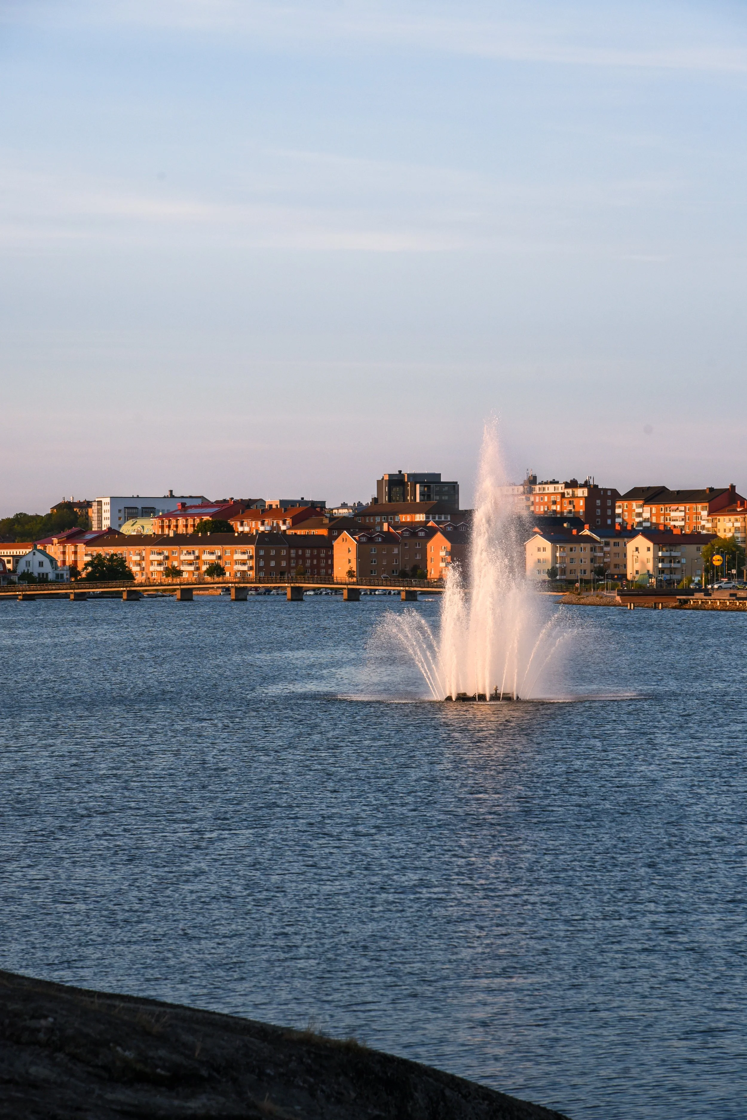 DSC8515.jpg