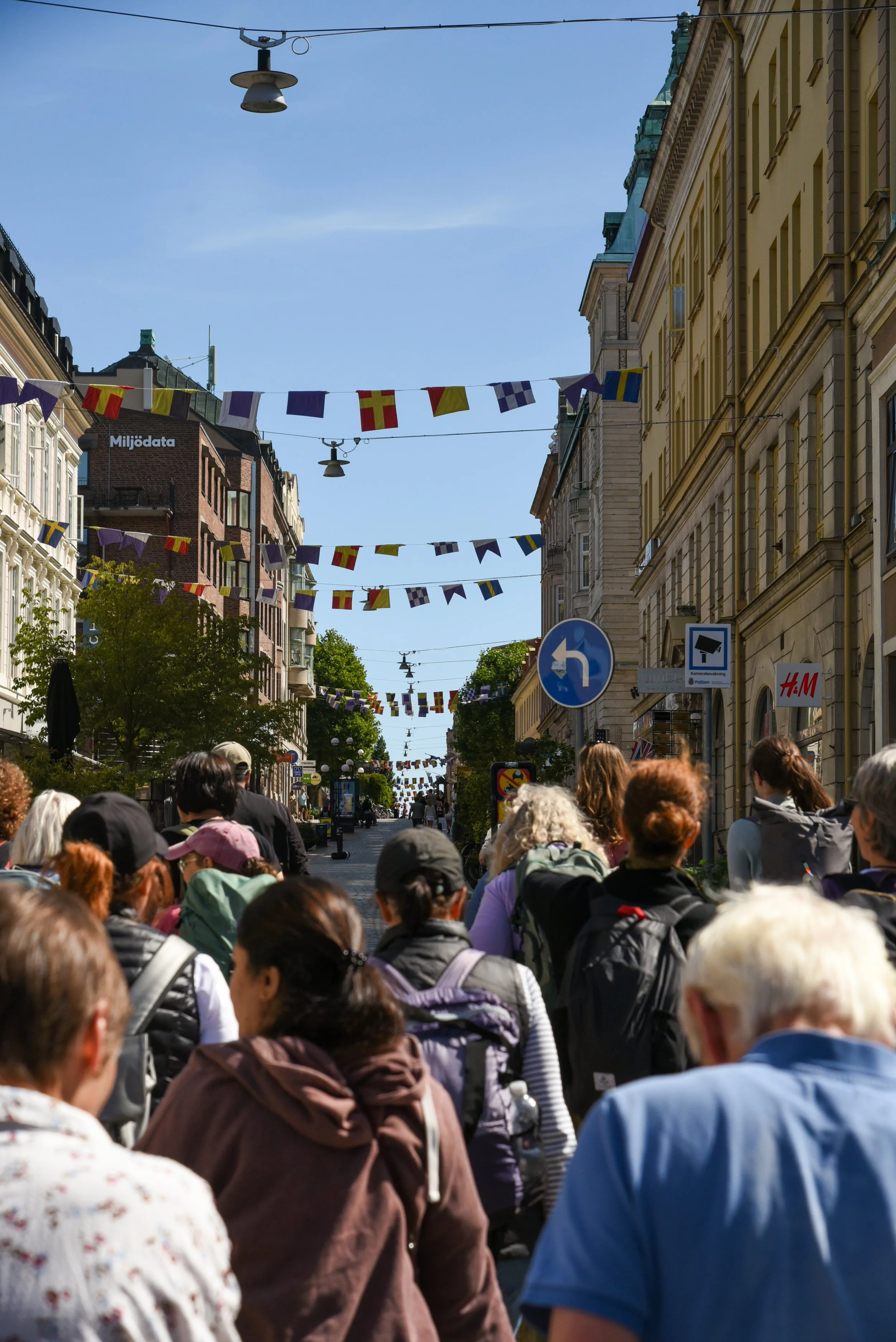 DSC9668.jpg