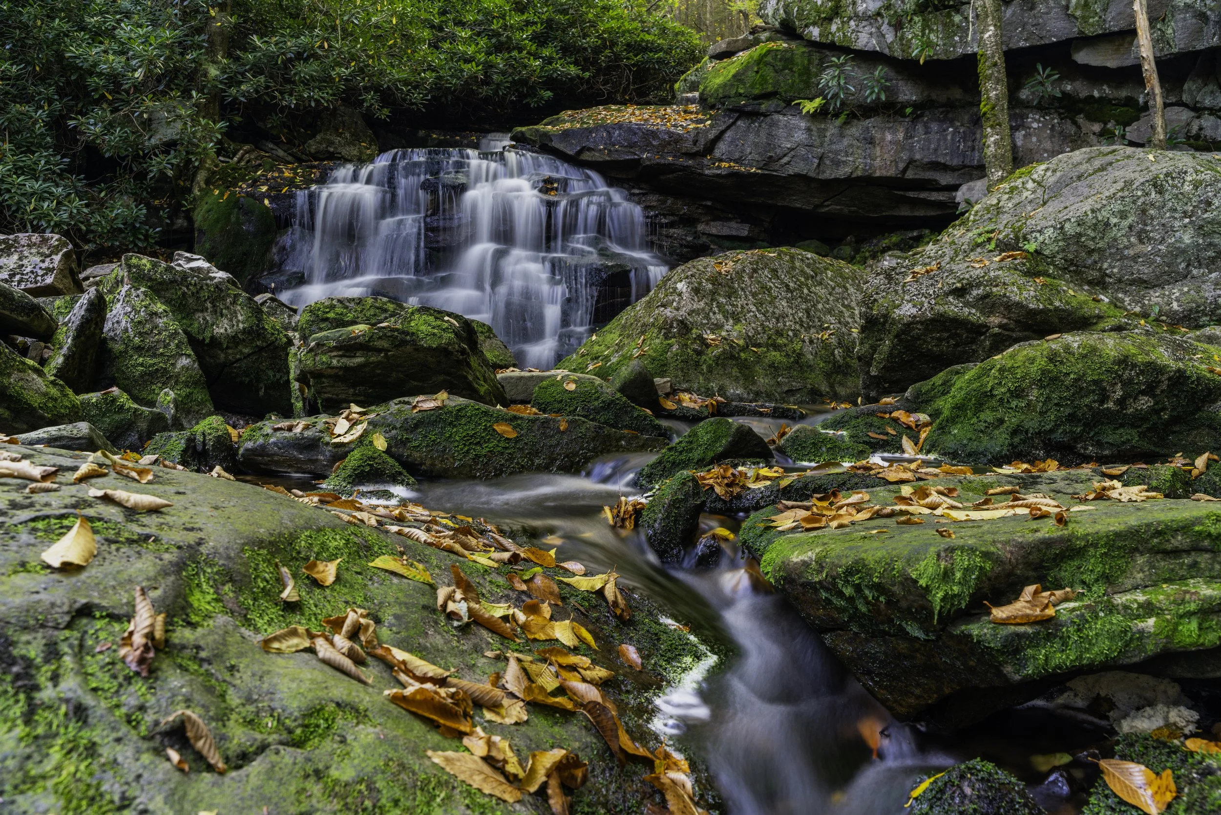 A small waterfall flowing over rocks covered in green moss, with fallen leaves on the rocks and water.