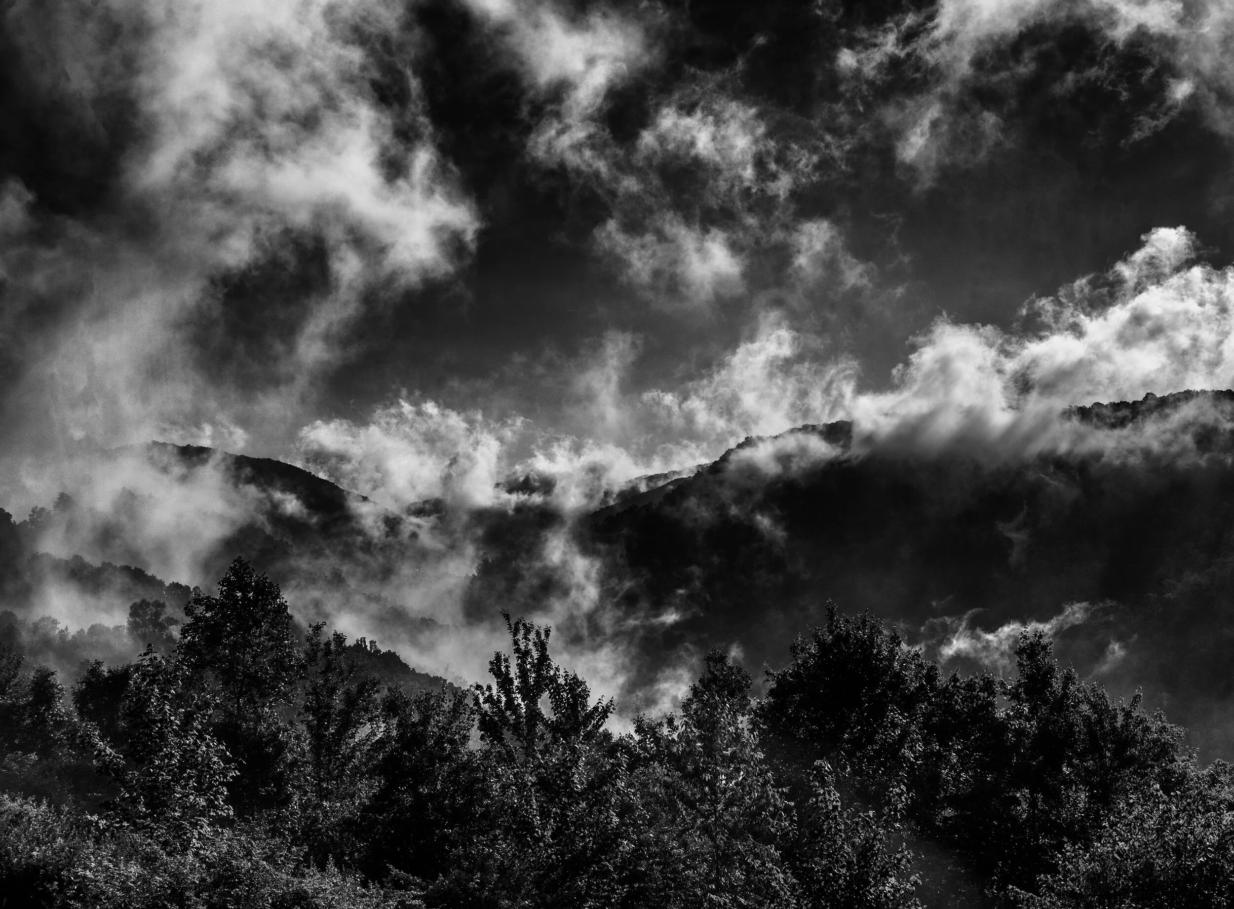 Fog Rolling Off Mountain1bw.jpg
