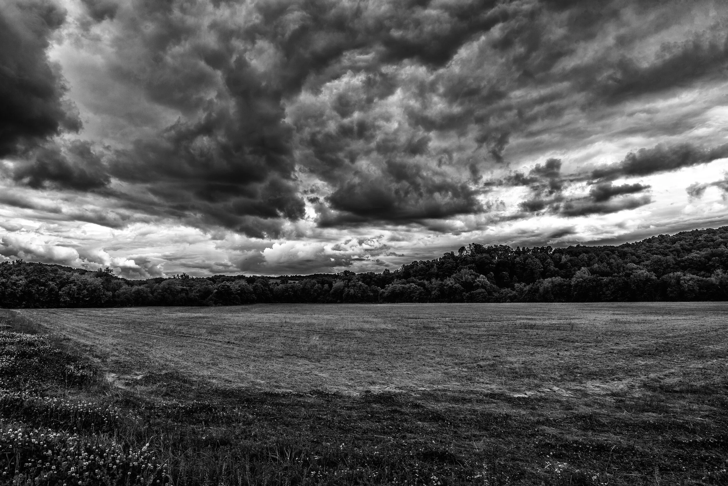 Empty Field.jpg