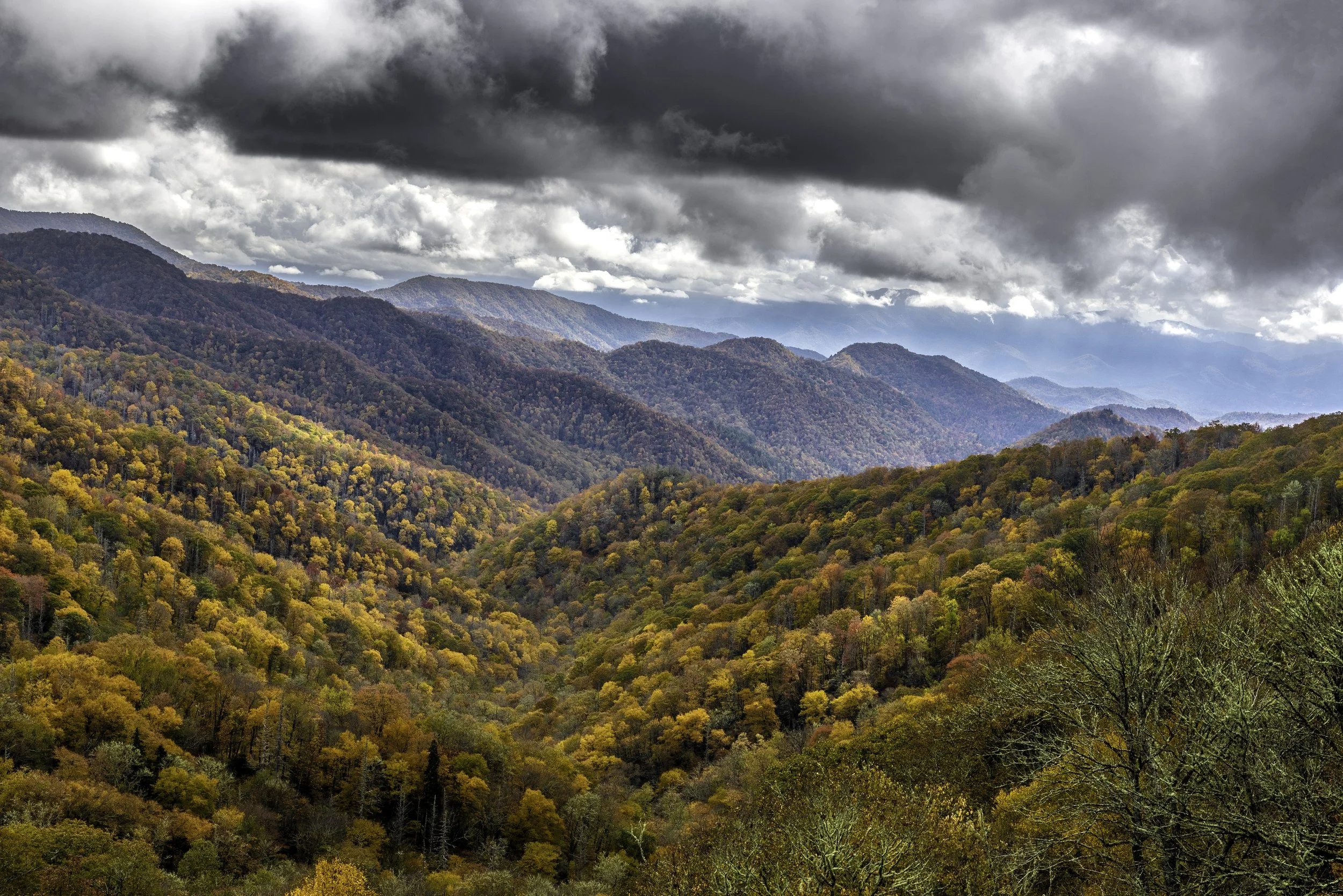 The Future &amp; Moving Forward