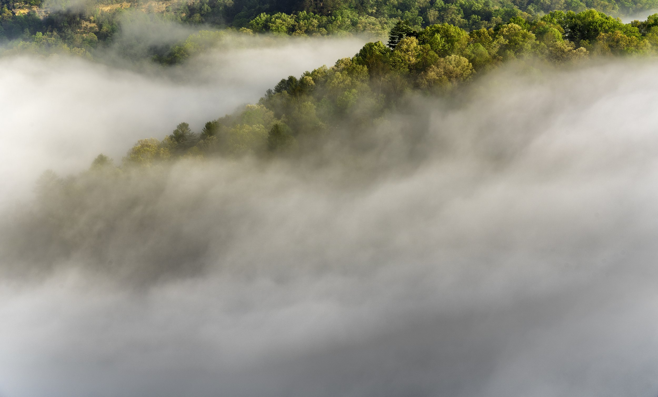 Aerial view of a forested mountain covered in fog with lush green trees.