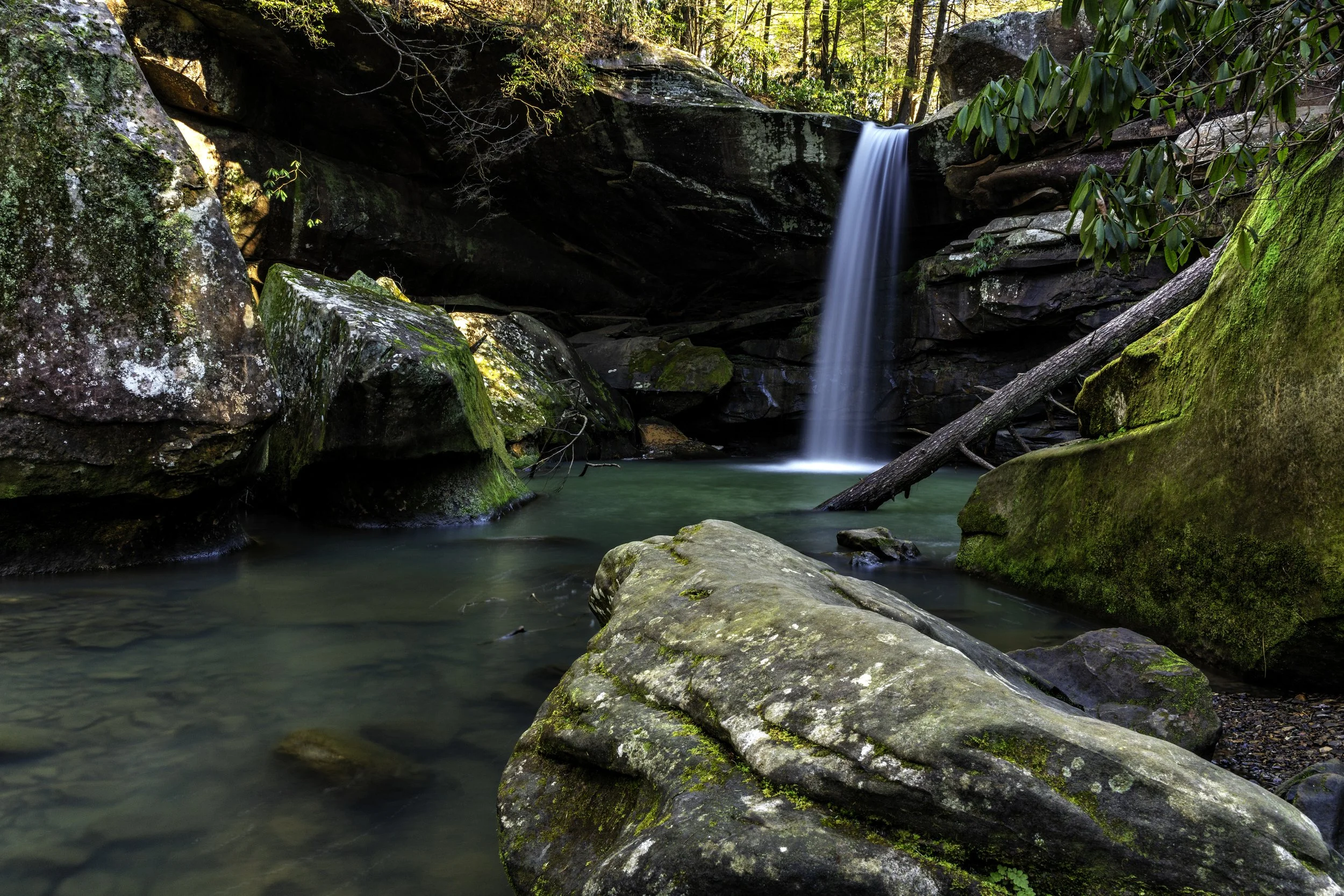 A small waterfall flowing into a clear stream surrounded by moss-covered rocks and trees in a forest.