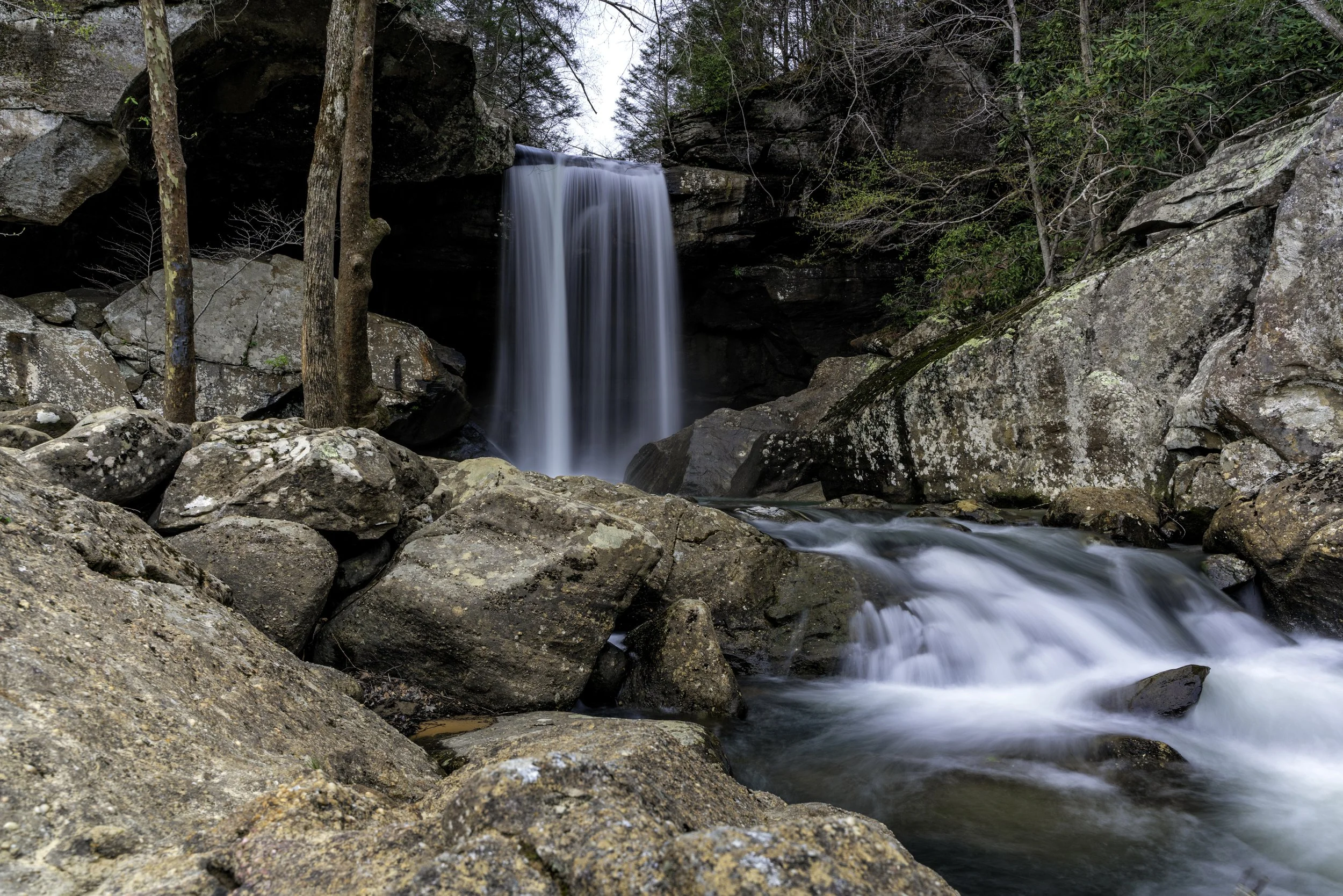 Waterfalls flowing over rocks in a forested area with trees and greenery.
