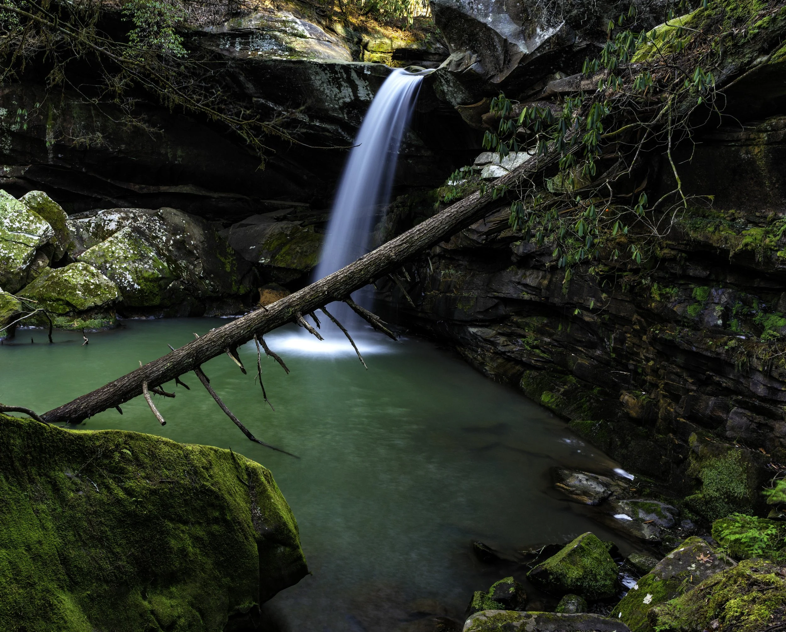 A small waterfall flowing into a rocky, moss-covered pool in a forest, with a fallen tree across the water.