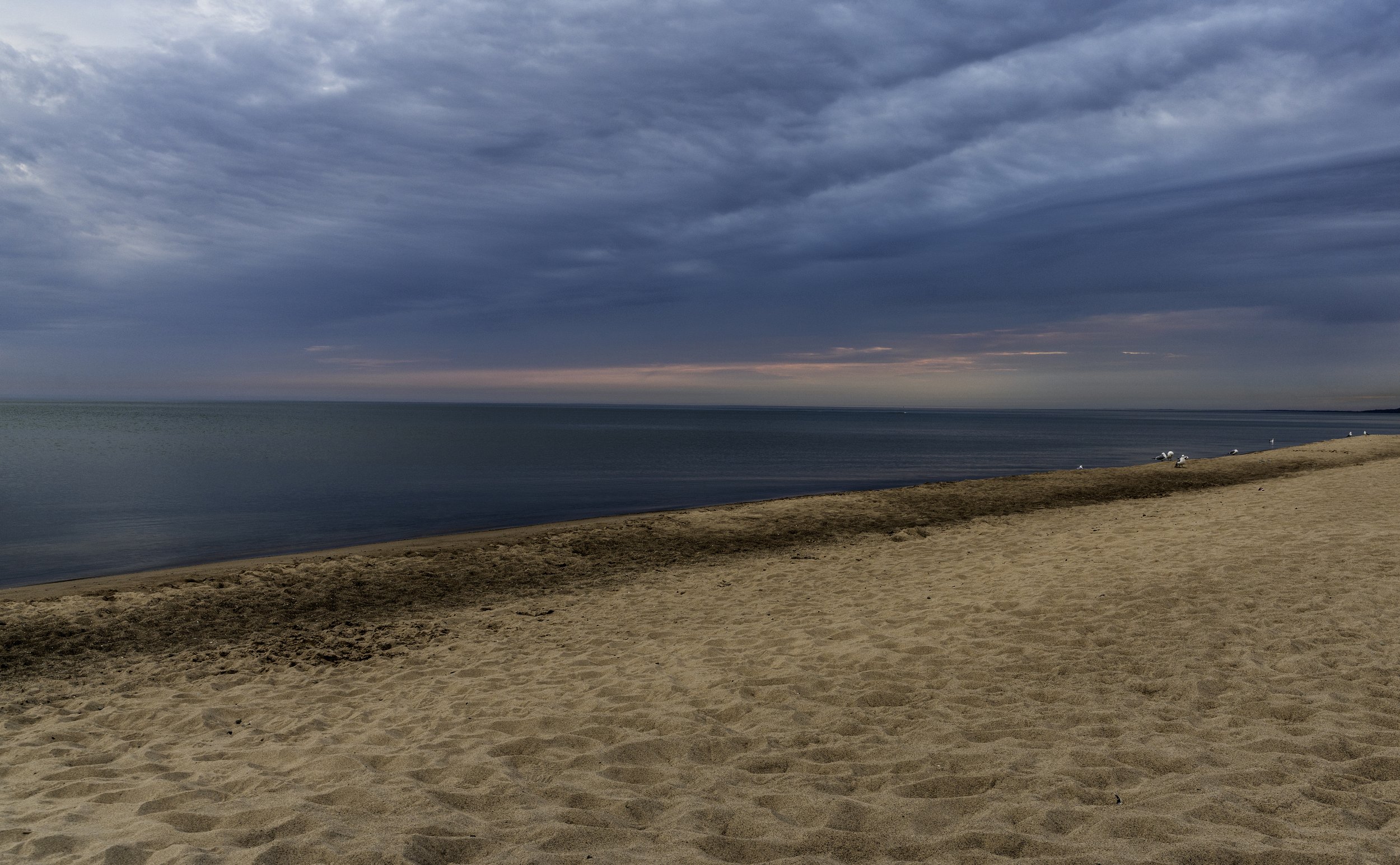 Empty sandy beach with some seagulls in the distance and a large body of water under a cloudy sky at sunset or sunrise.