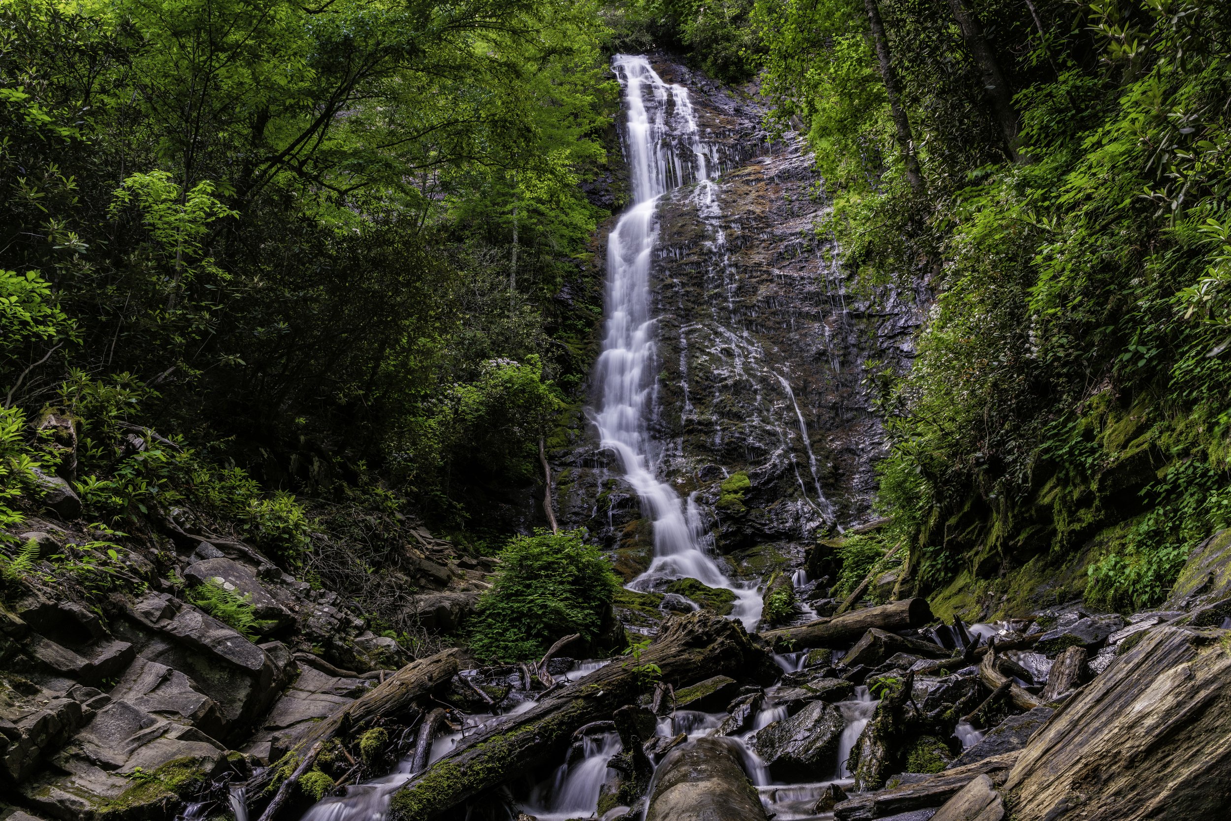 Tall waterfall flowing down a rocky cliff surrounded by lush green foliage and trees in a forest.