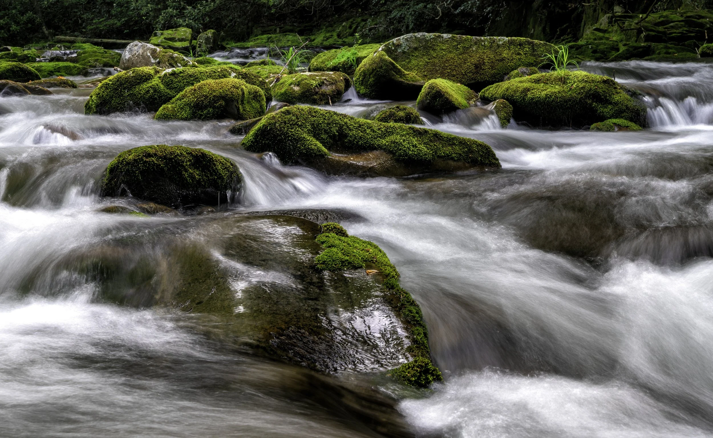 Oconaluftee River Spring2.jpg