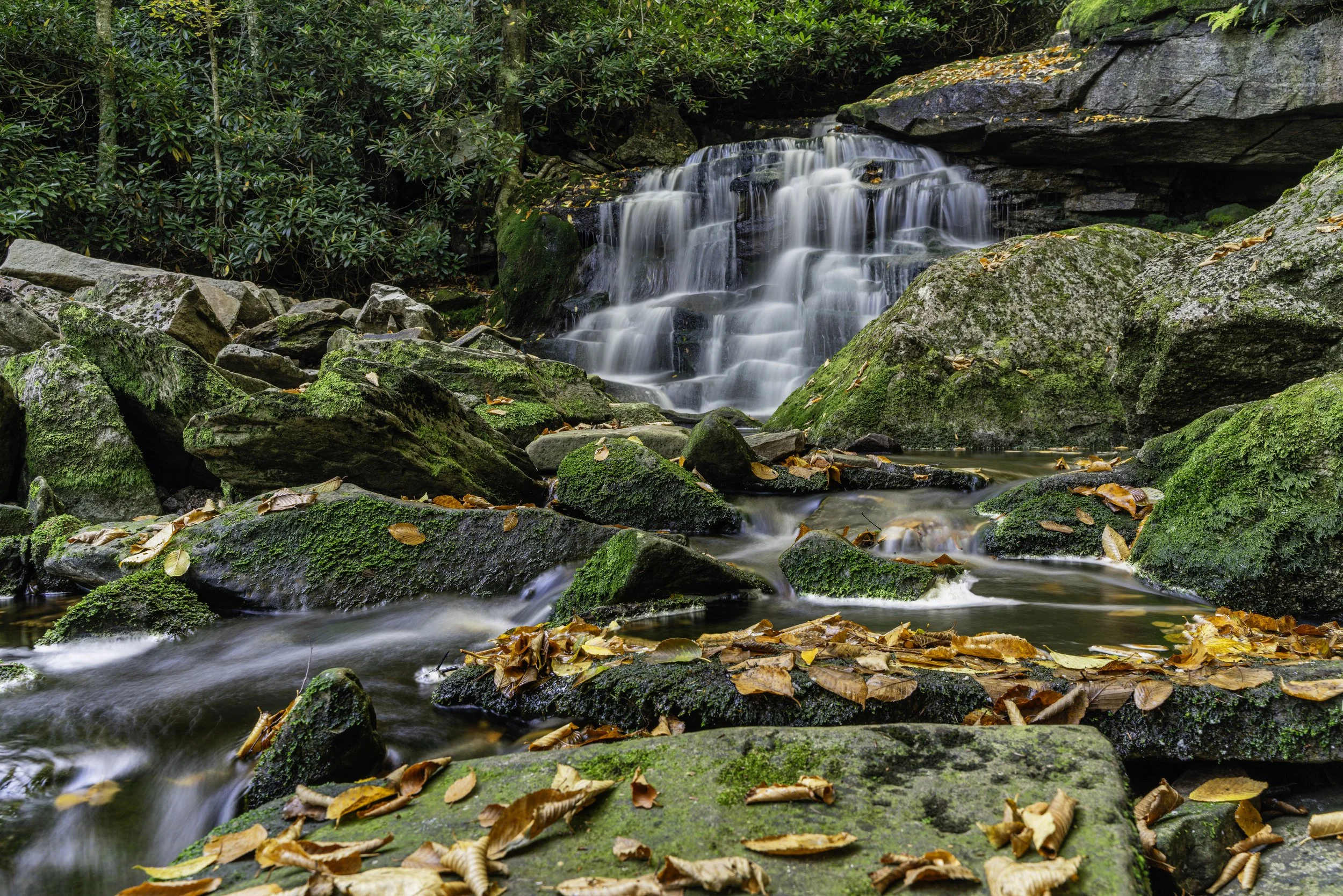 A small waterfall flowing over moss-covered rocks in a forest, with fallen autumn leaves scattered on the rocks and in the water.