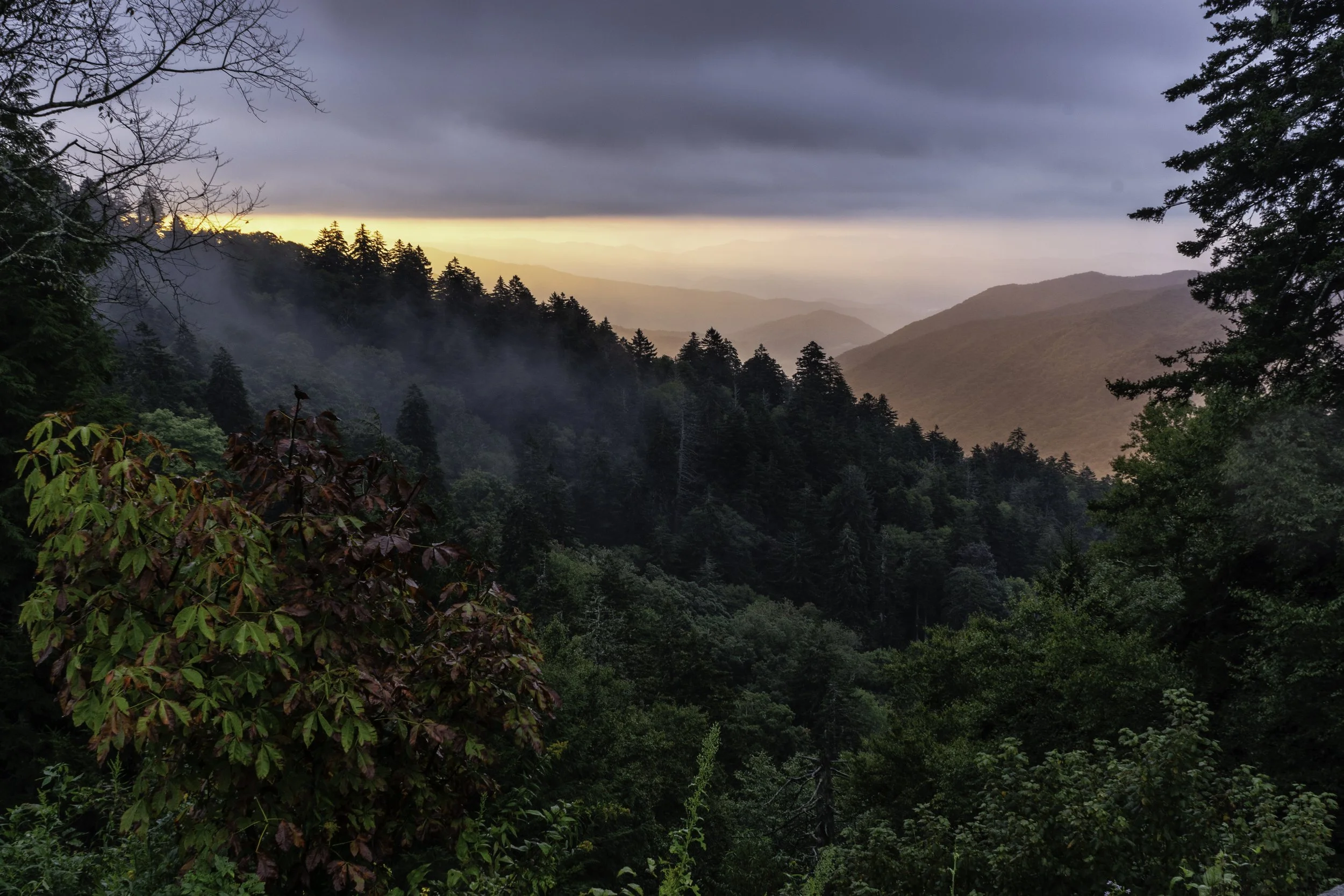 A forested mountain landscape at sunrise or sunset, with mist among the trees and layers of hills and mountains in the distance, under a partly cloudy sky.