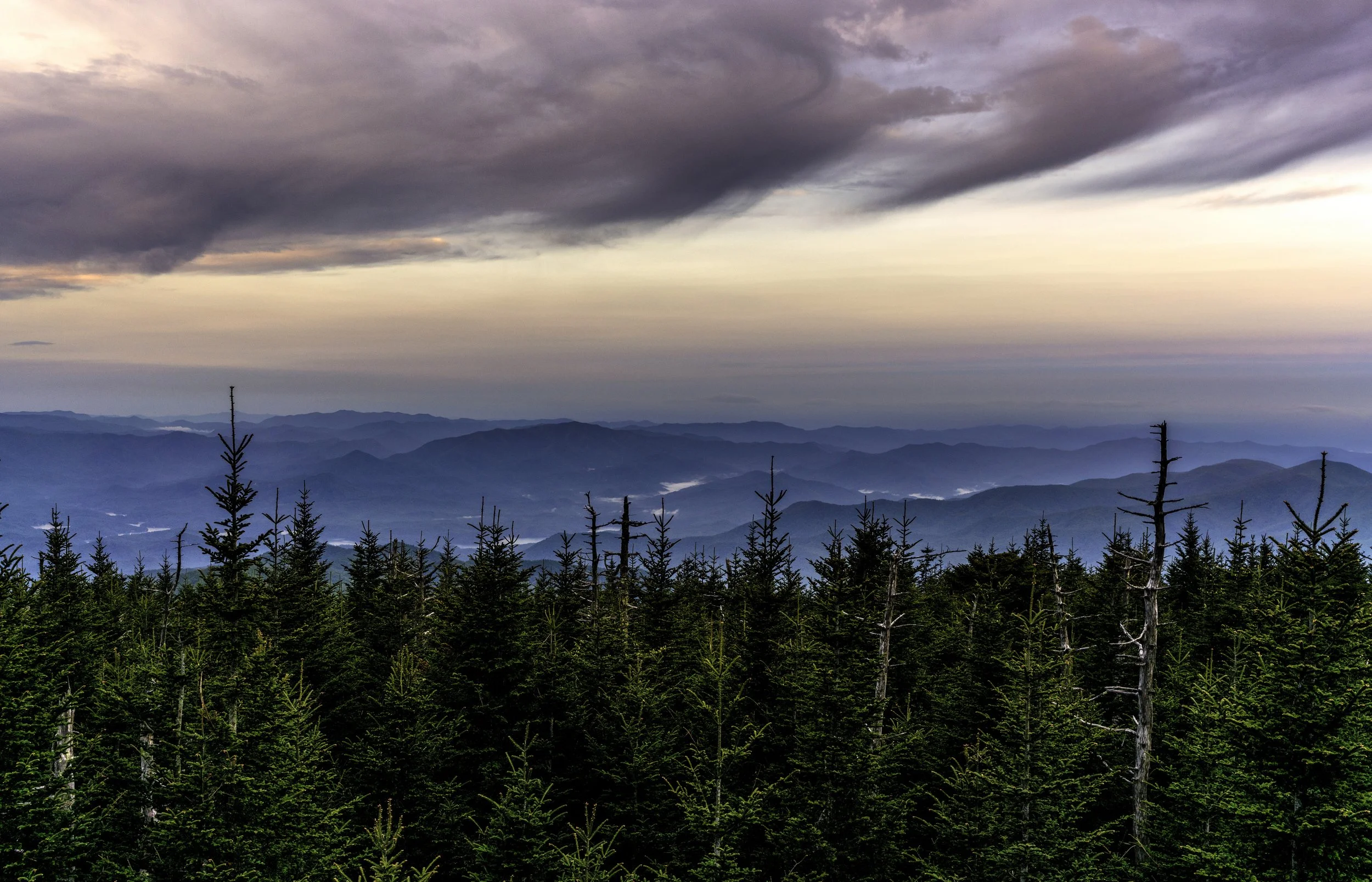 Scenic view of a forest of evergreen trees with a mountain range in the distance under a cloudy sky during sunset or sunrise.