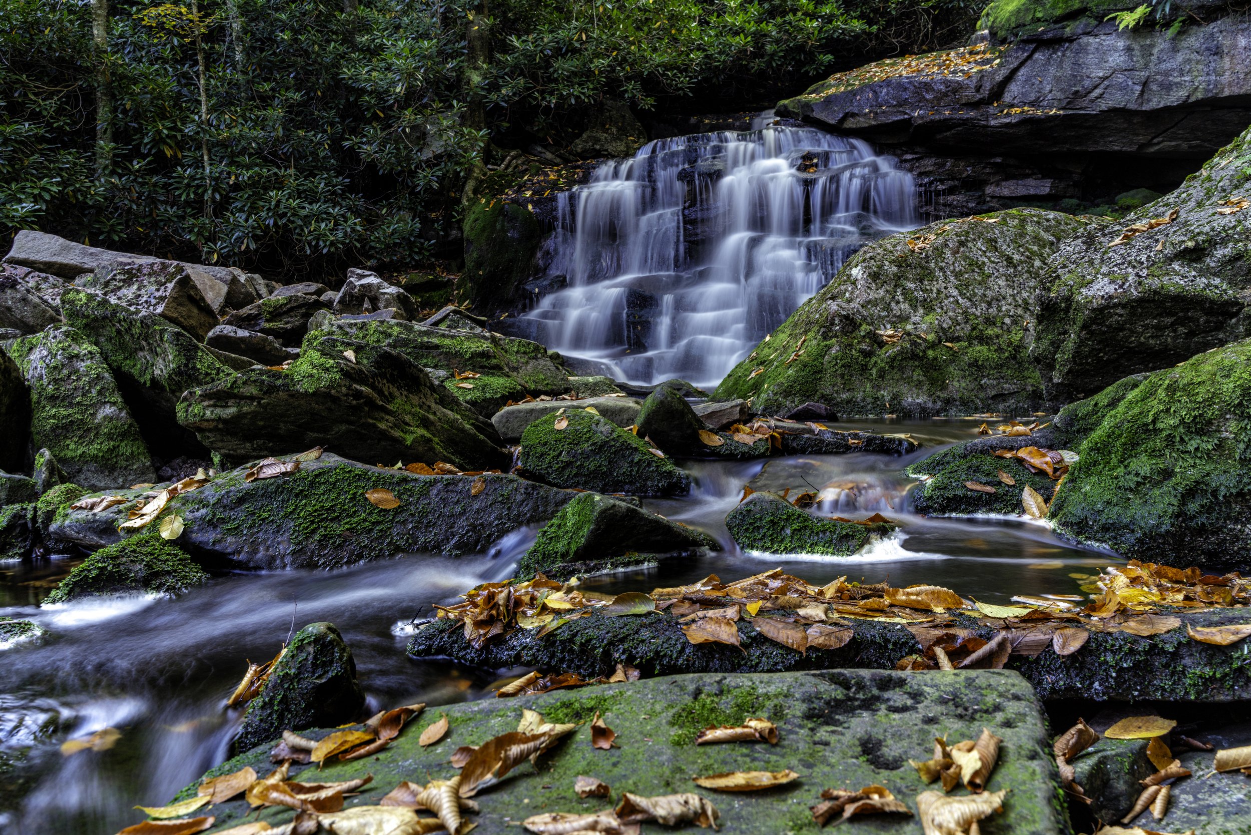 A small waterfall cascading over rocks in a forest with fallen leaves.