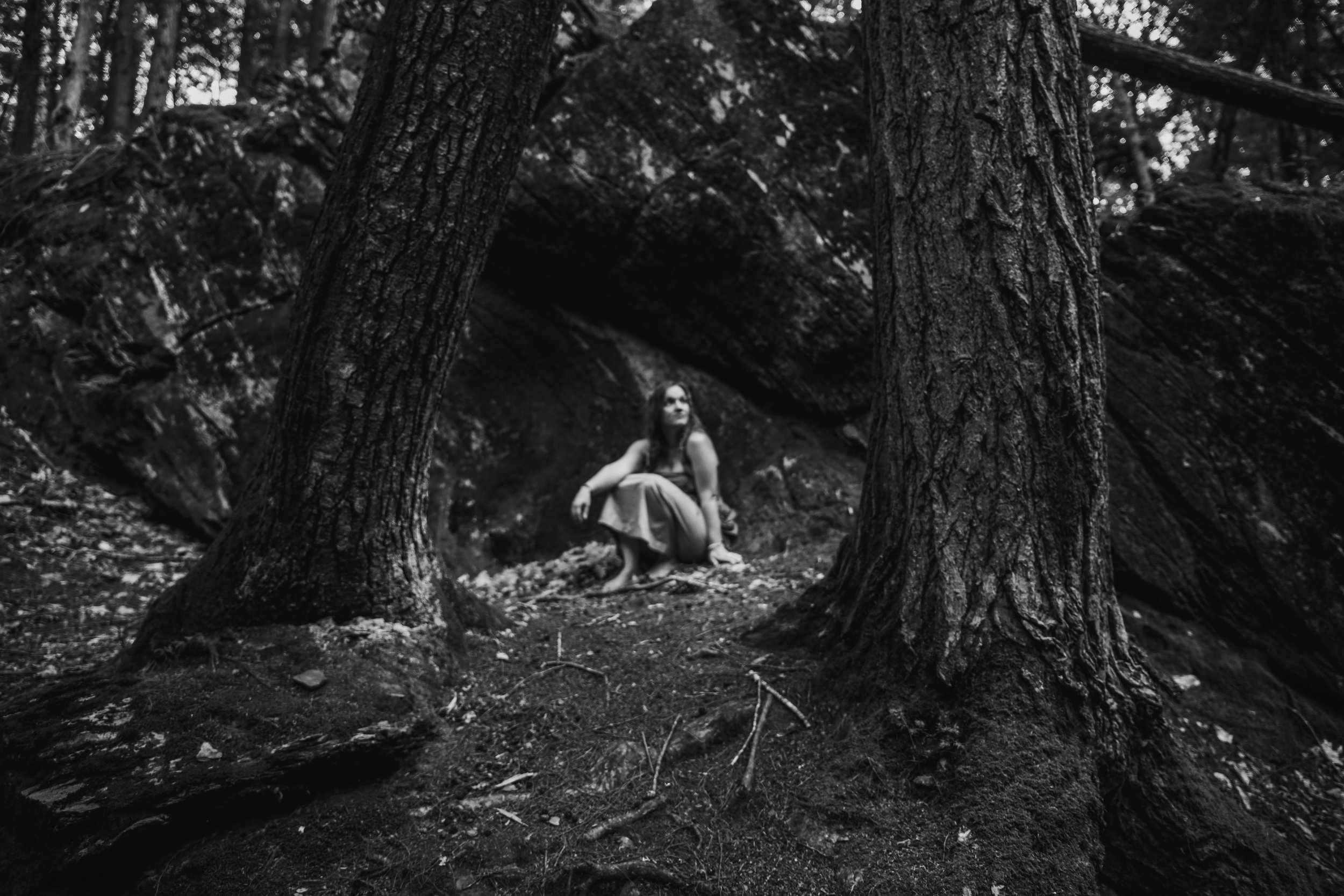 DSC_8227-2.jpg