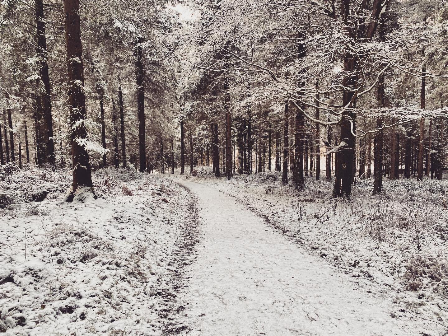 We may not have our gyms...but with being able to take daily steps with this view I can&rsquo;t complain! 

Taking time, even if it&rsquo;s just over a lunchtime to get out get moving is so important, not only for your health but also to clear the mi