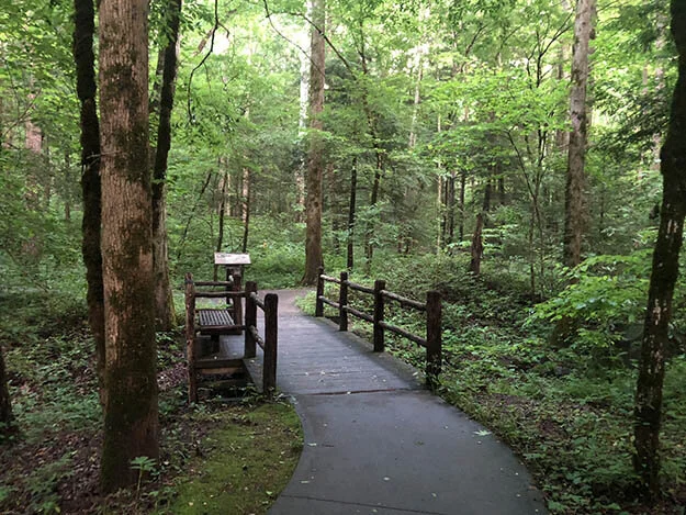 5 Family Friendly Hikes 