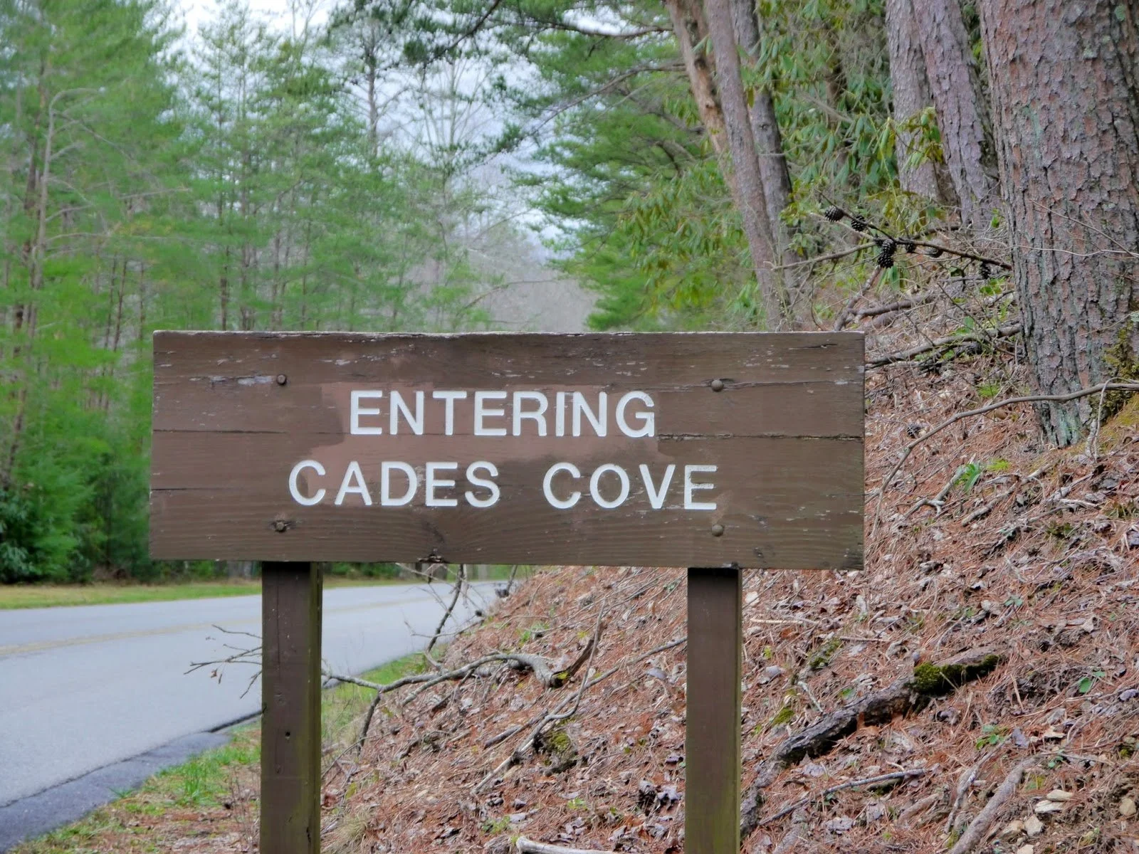 Cades Cove