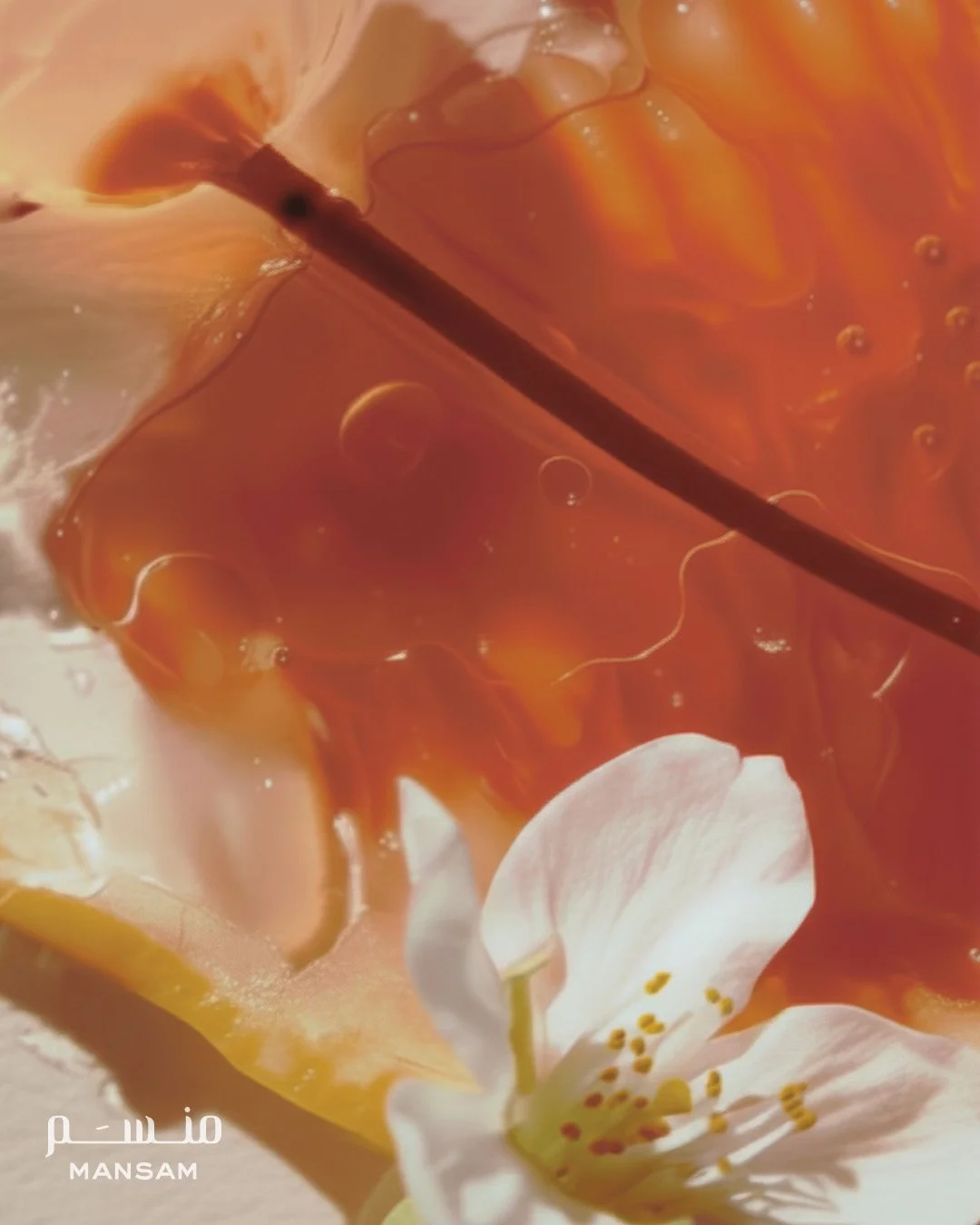 tahta el noujoum-texture details 2.jpg