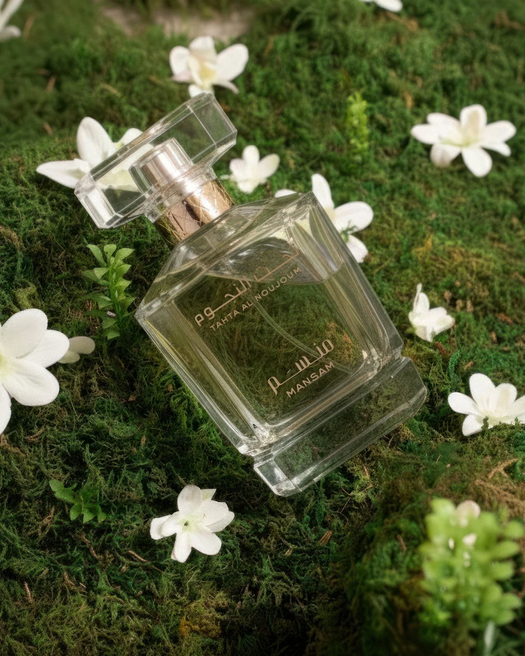 tahta el noujoum-green.jpg